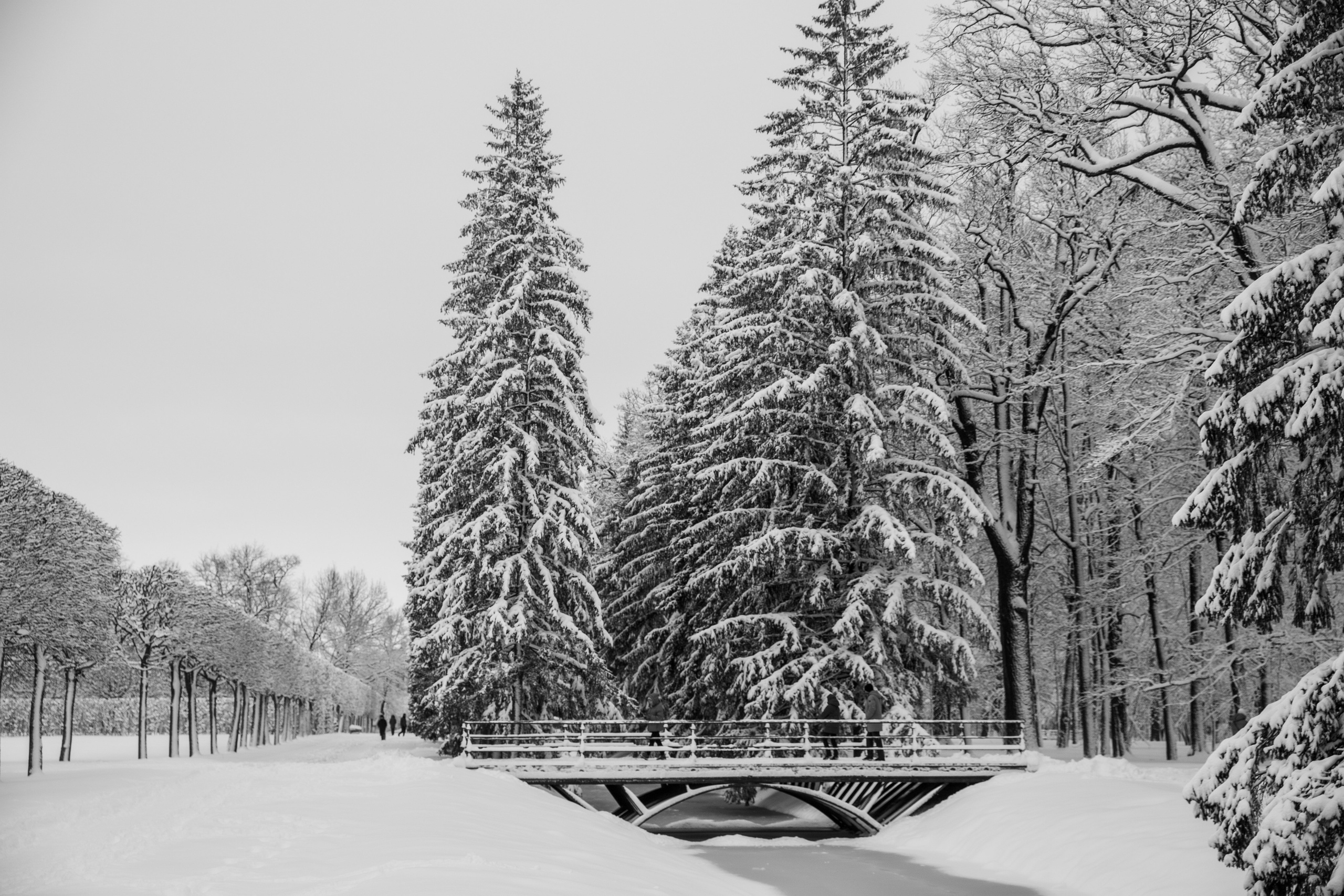 Фото с прогулок и с поездок на Кольский полуостров