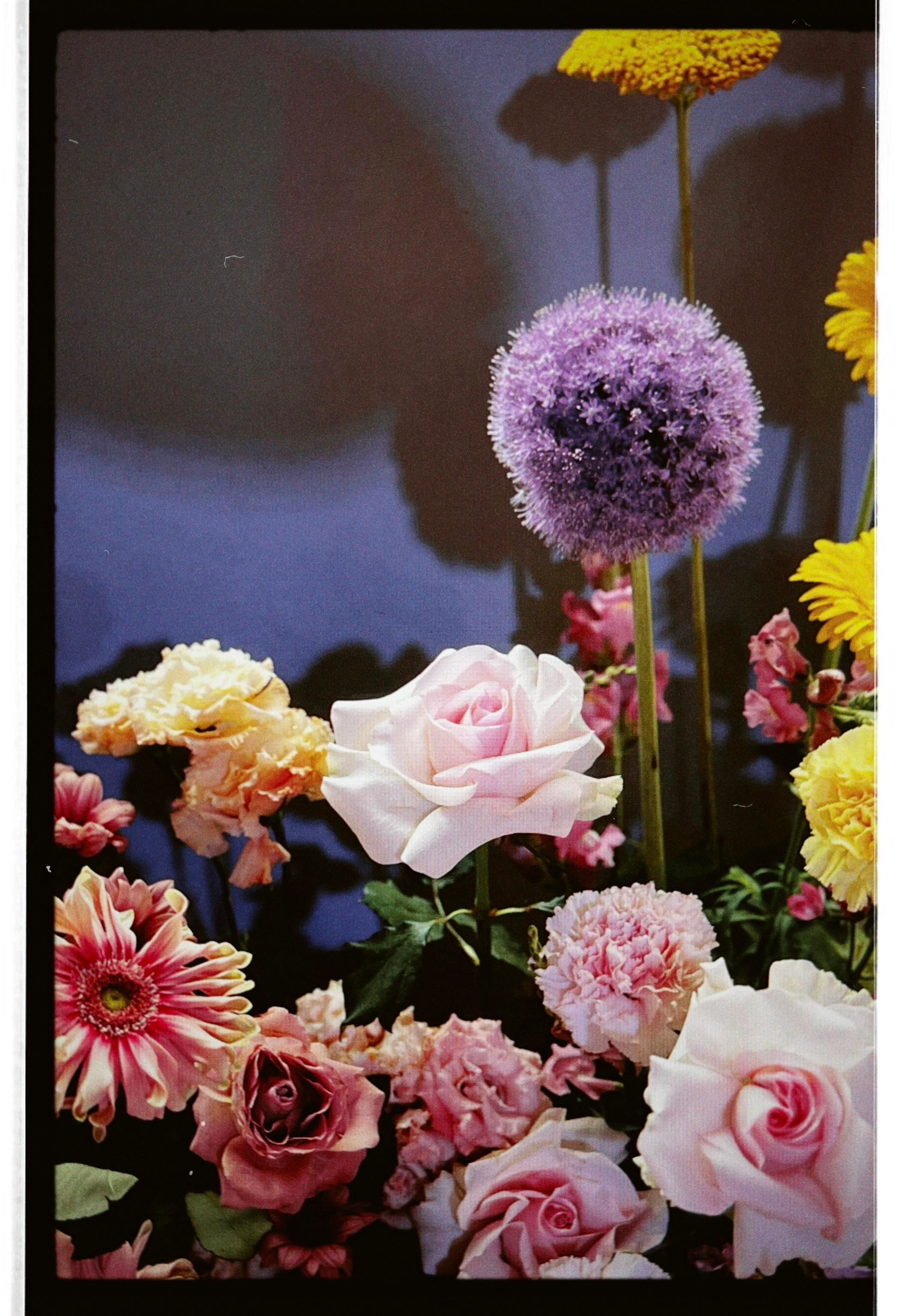 Пленочный анонс Wedding day Сергей и Александра. Свадебный фотограф Колесников Антон