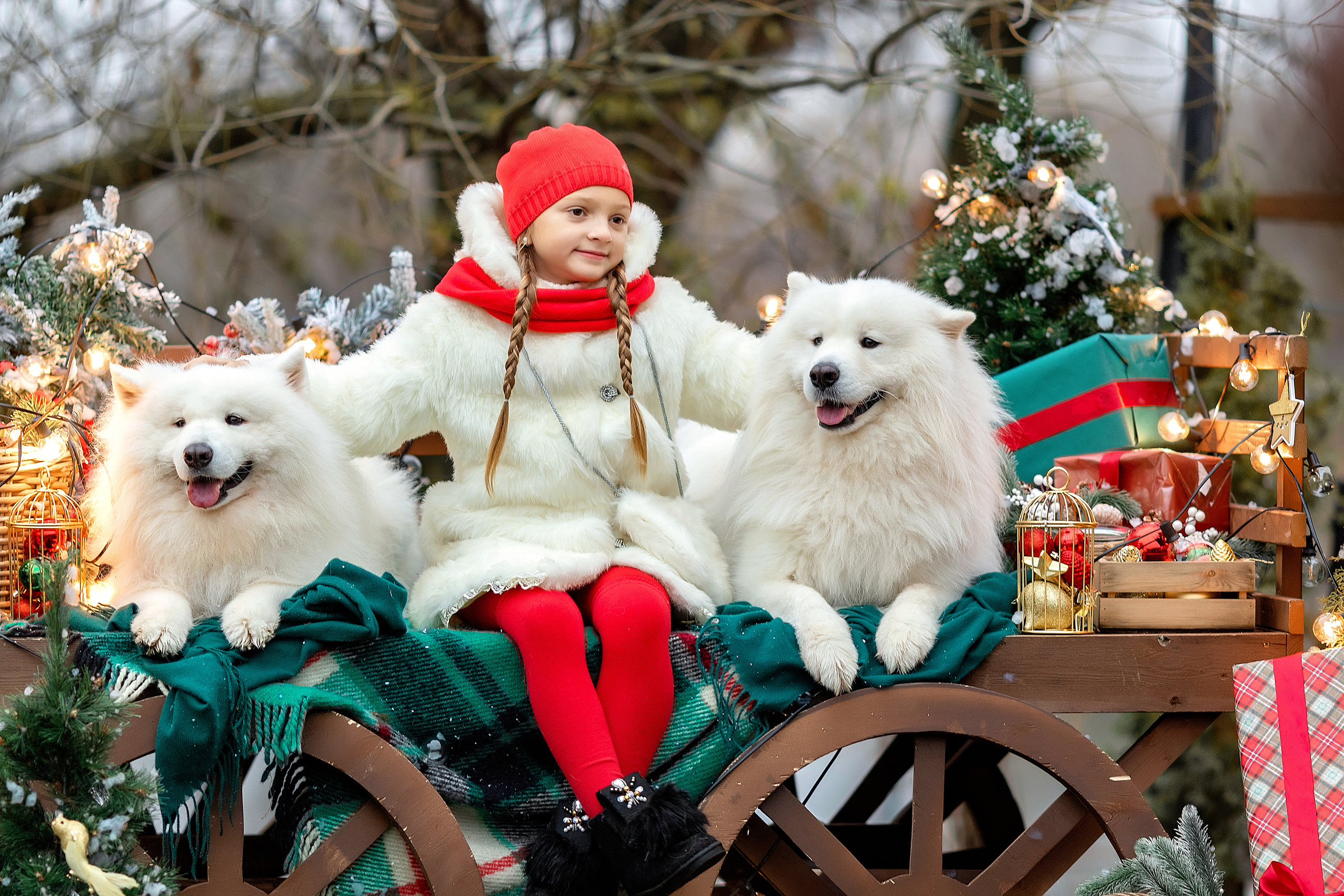 Новогодние и зимние фотосессии. Свадебный и семейный фотограф в Туле и Москве Полукарова Юлия
