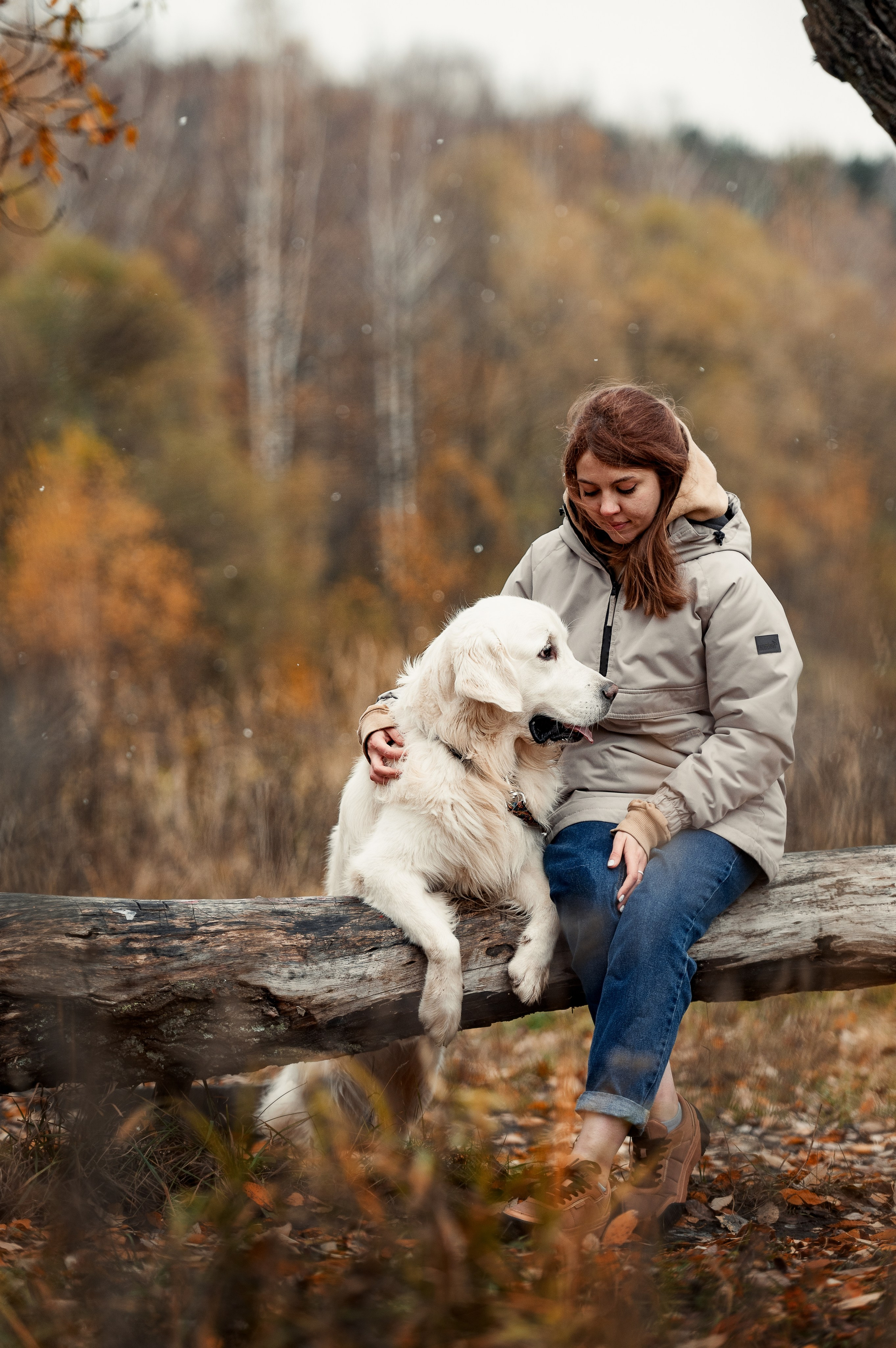 Айс и золотая осень. Фотограф-анималист