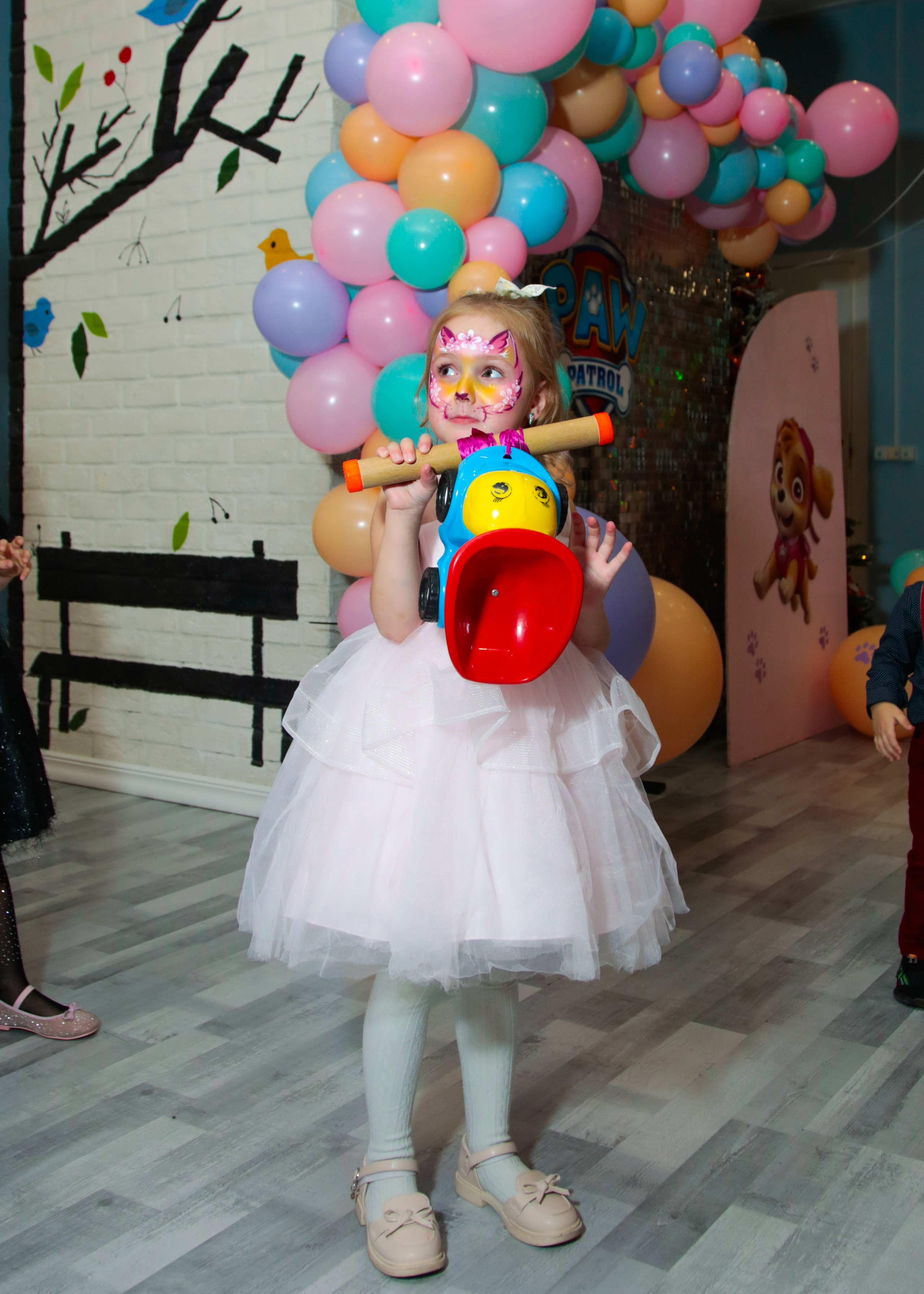 День Рождения Щенячий патруль. Фотограф Олеся Милош Мытищи, Москва и МО и весь мир