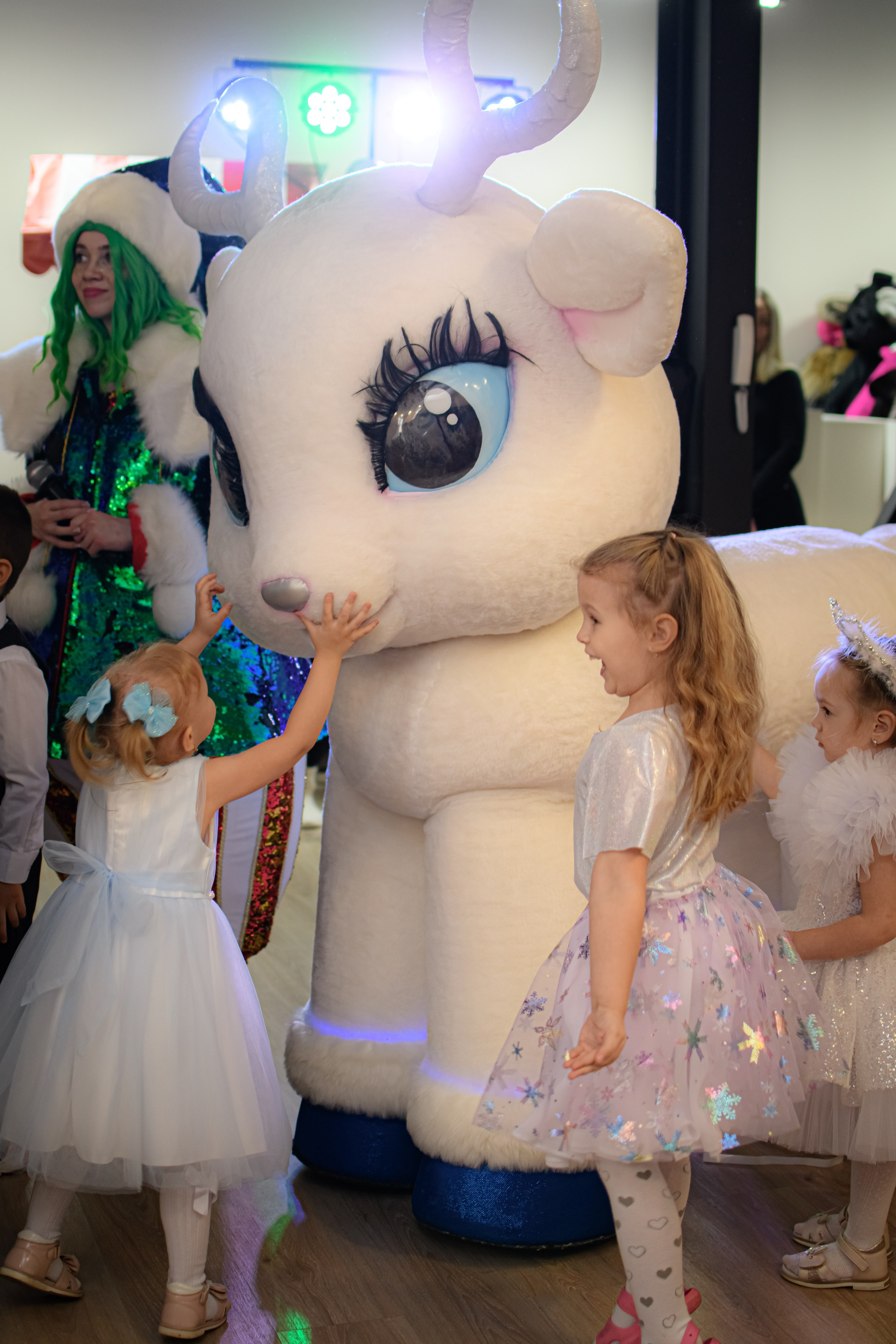 HAPPY NEW YEAR. Photokarish