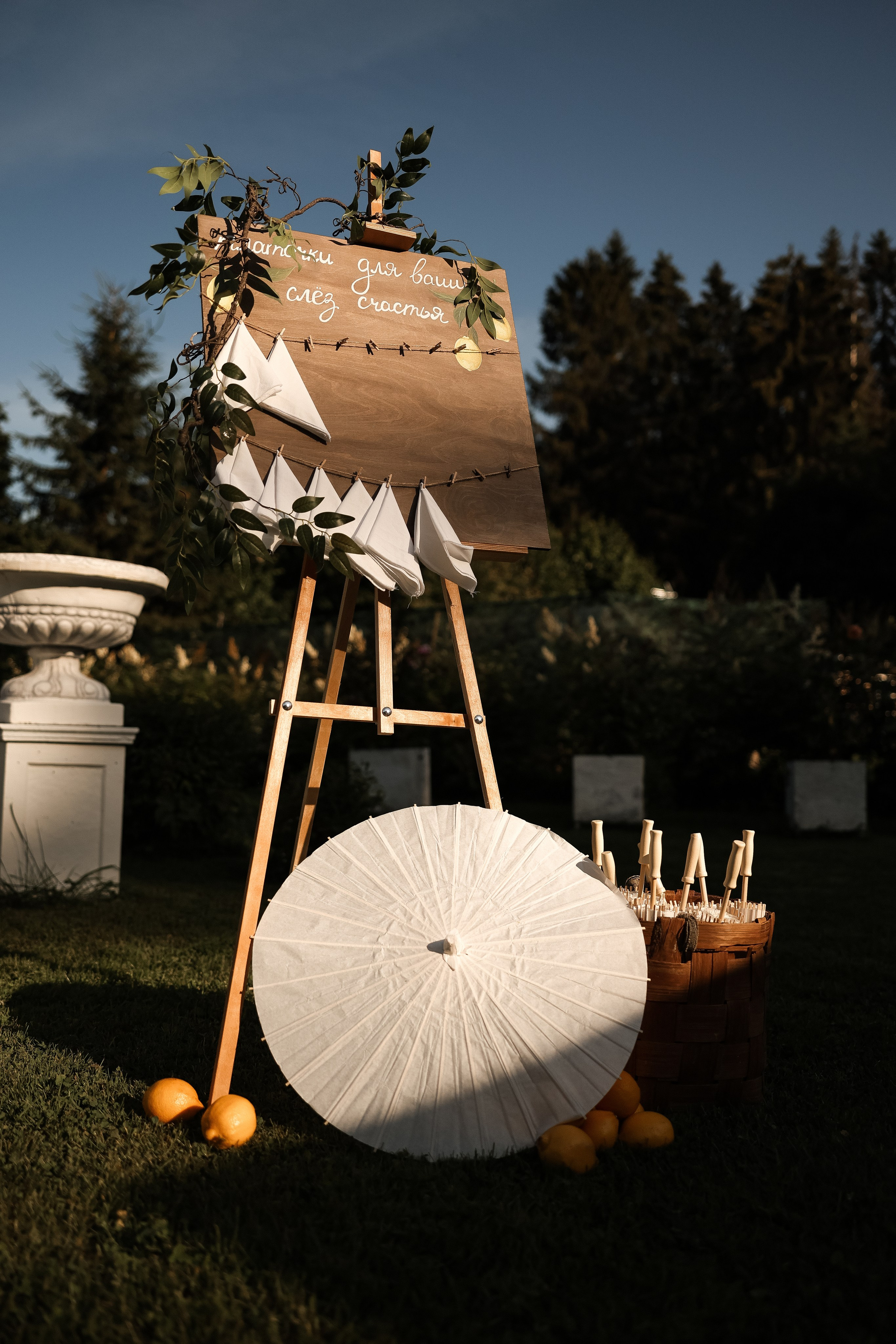 Горько…. Свадебный и семейный Фотограф Денис Кошель