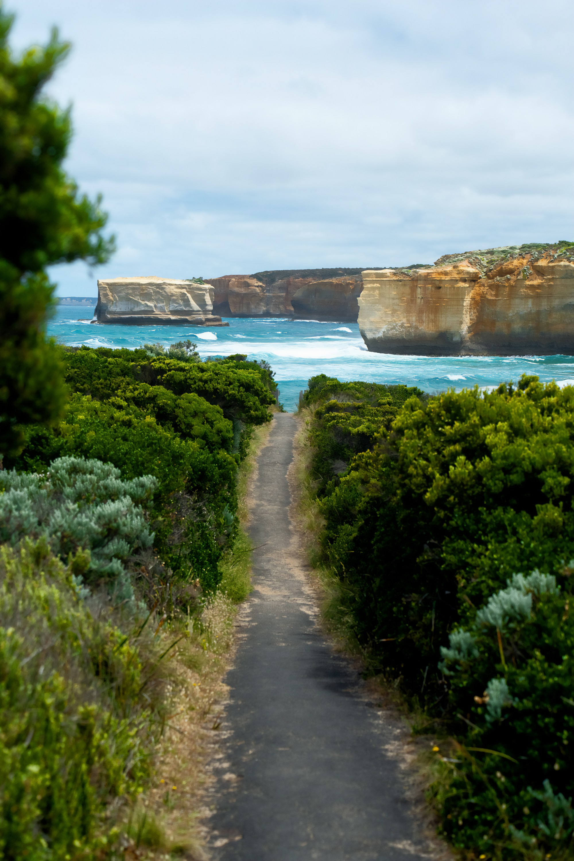 Австралия. Фотограф в Хабаровске. Фотография за 24 часа