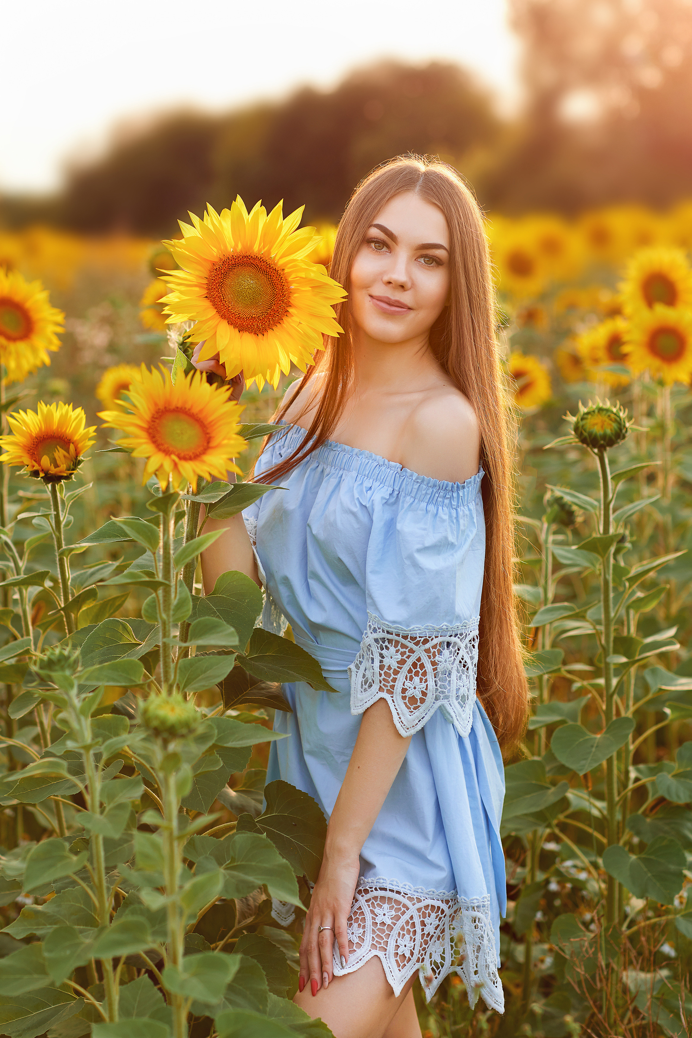 Подсолнухи. Фотограф Одинцово Ковтун Елена