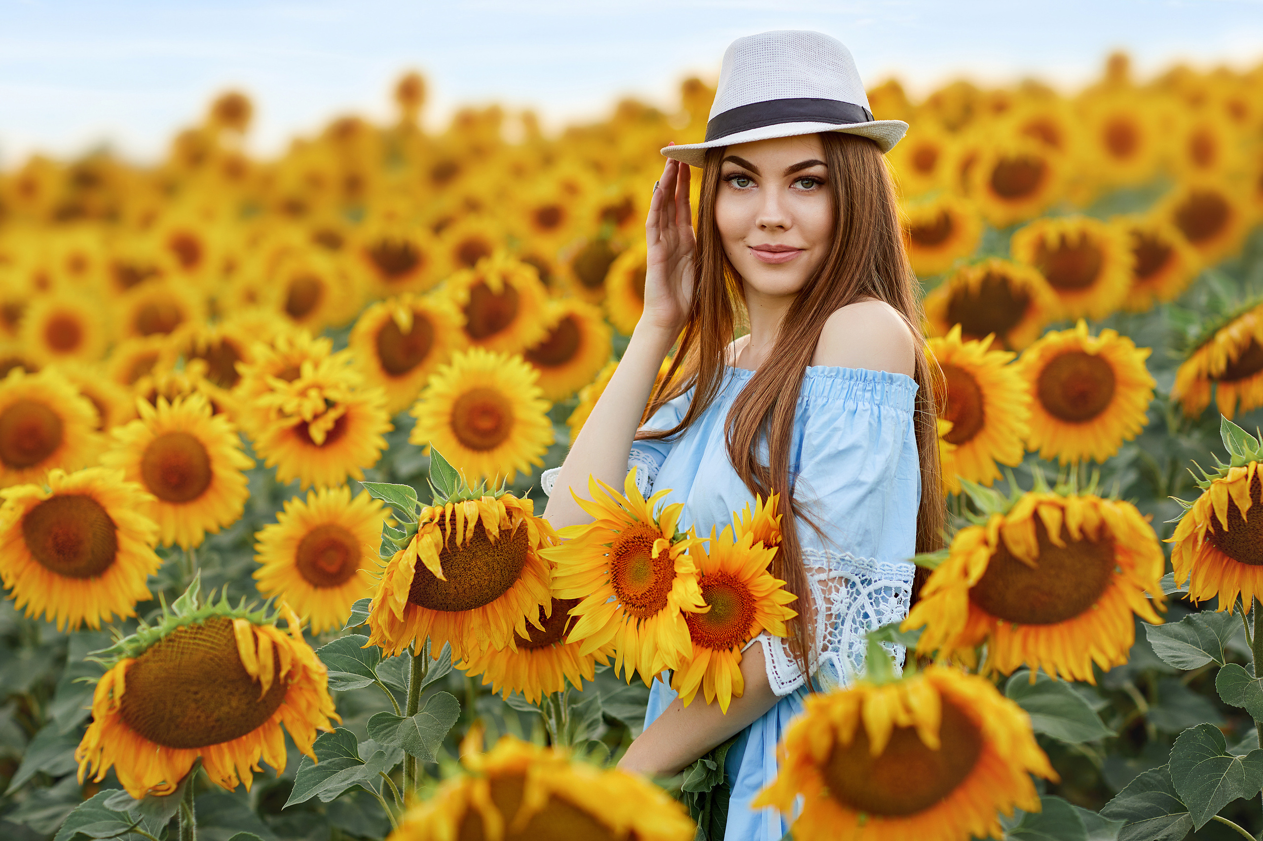 Подсолнухи. Фотограф Одинцово Ковтун Елена