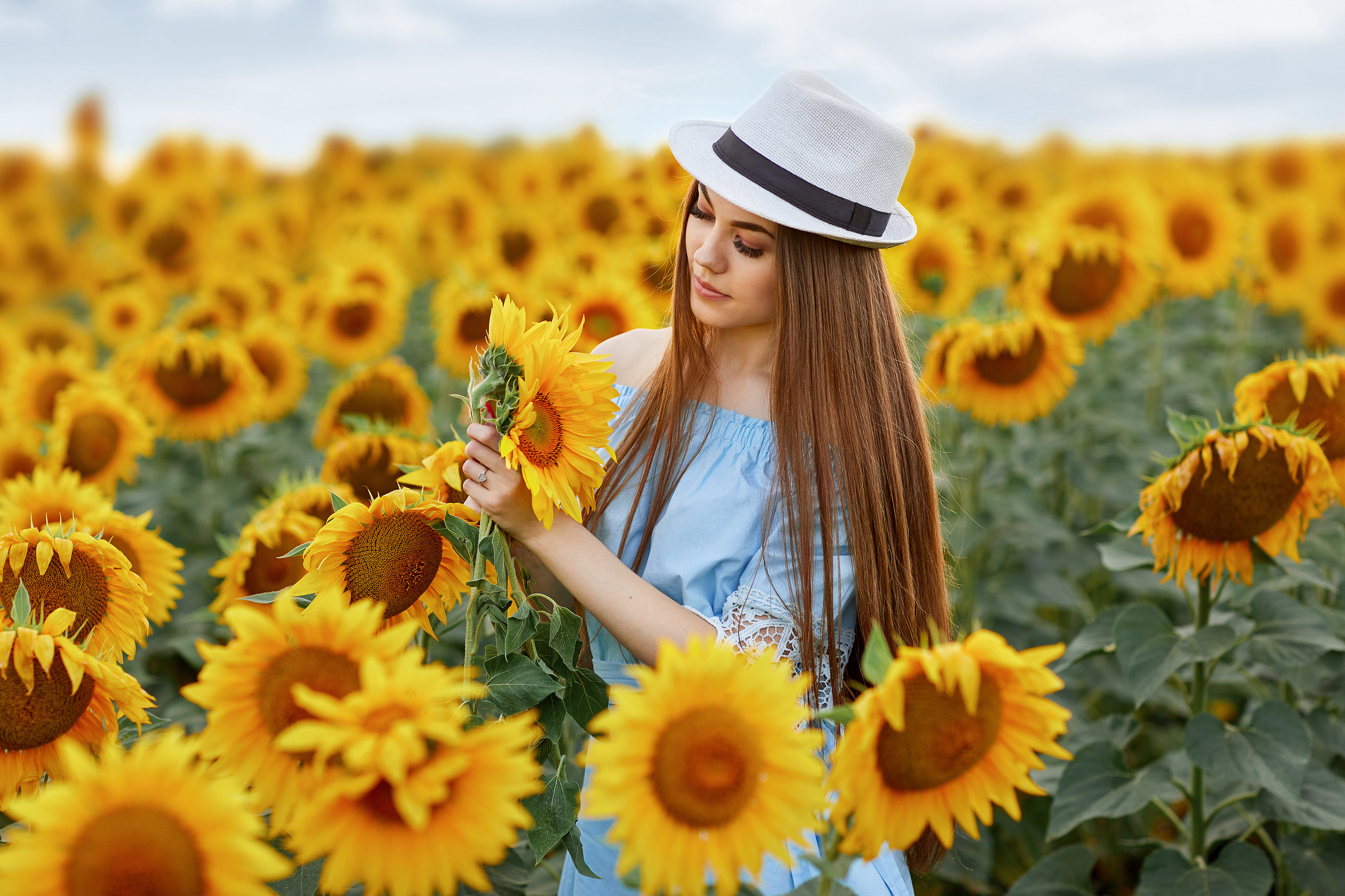 Подсолнухи. Фотограф Одинцово Ковтун Елена