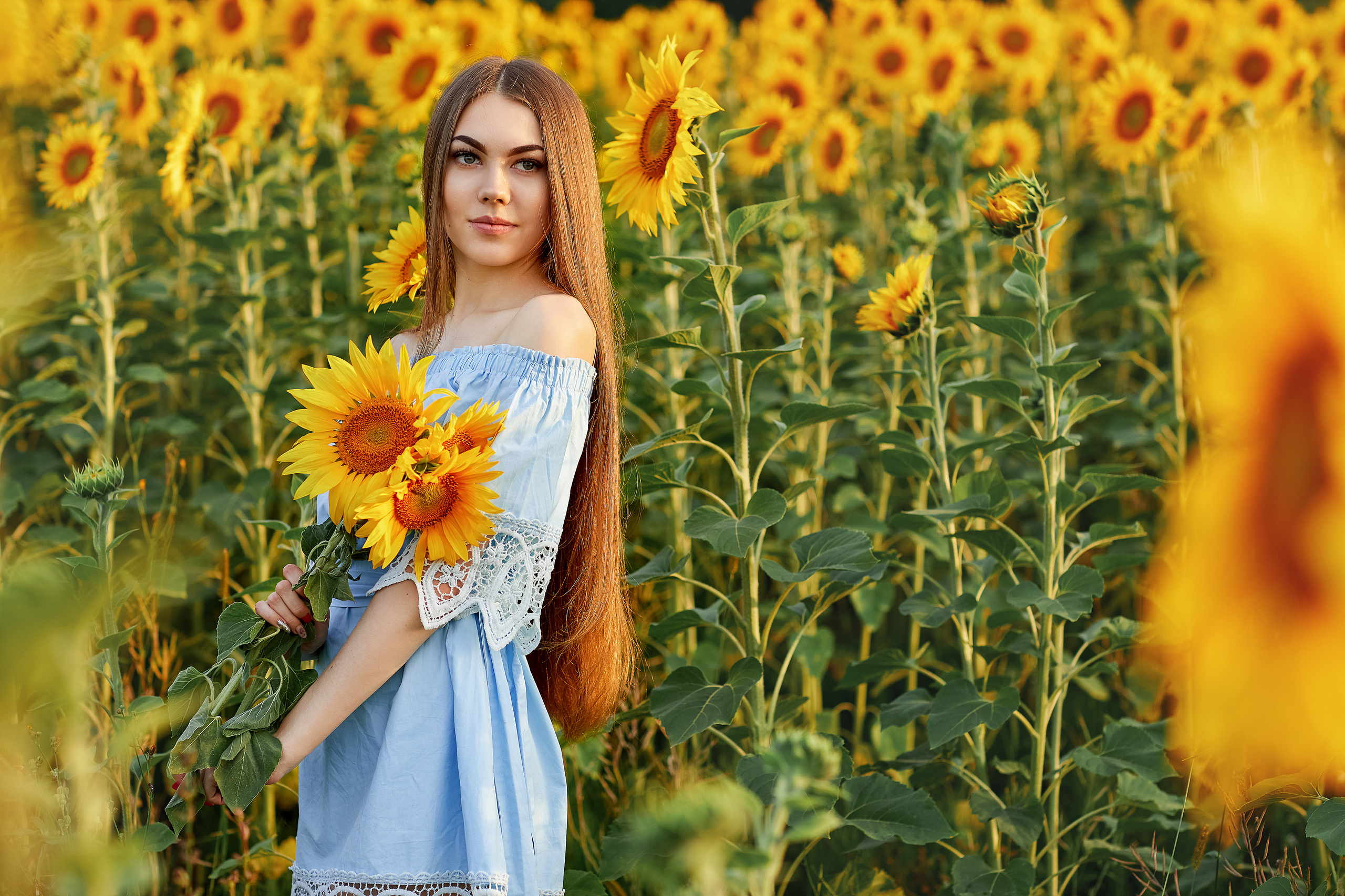 Подсолнухи. Фотограф Одинцово Ковтун Елена