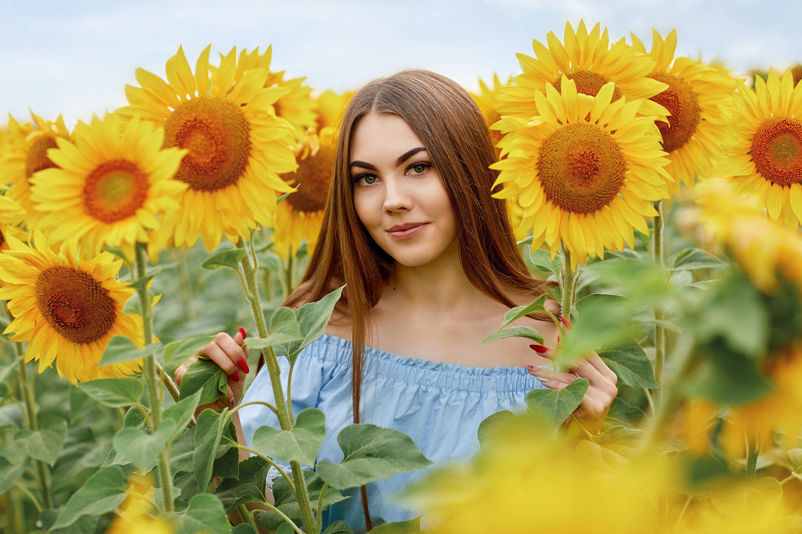 Подсолнухи. Фотограф Одинцово Ковтун Елена