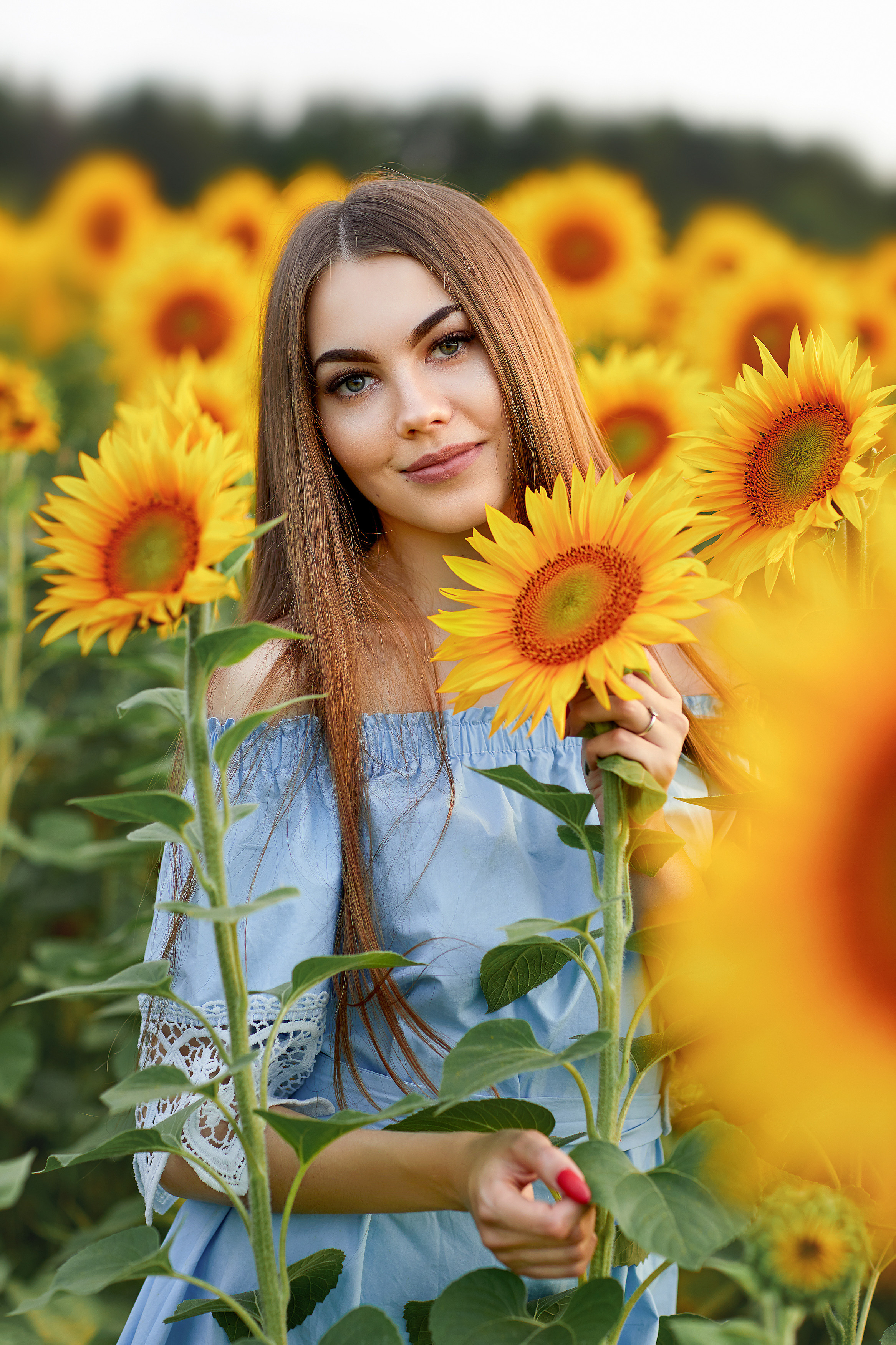 Подсолнухи. Фотограф Одинцово Ковтун Елена