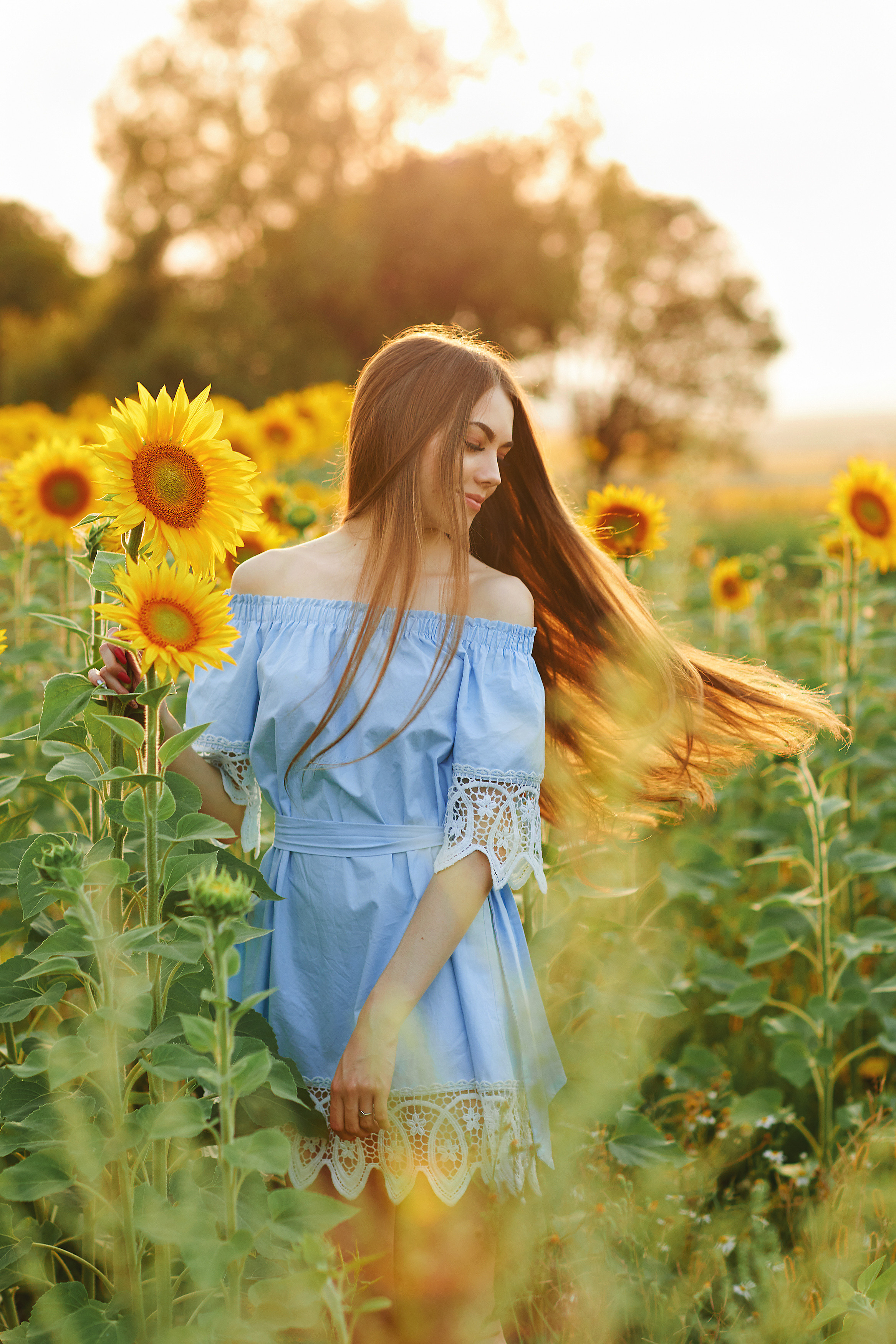 Подсолнухи. Фотограф Одинцово Ковтун Елена