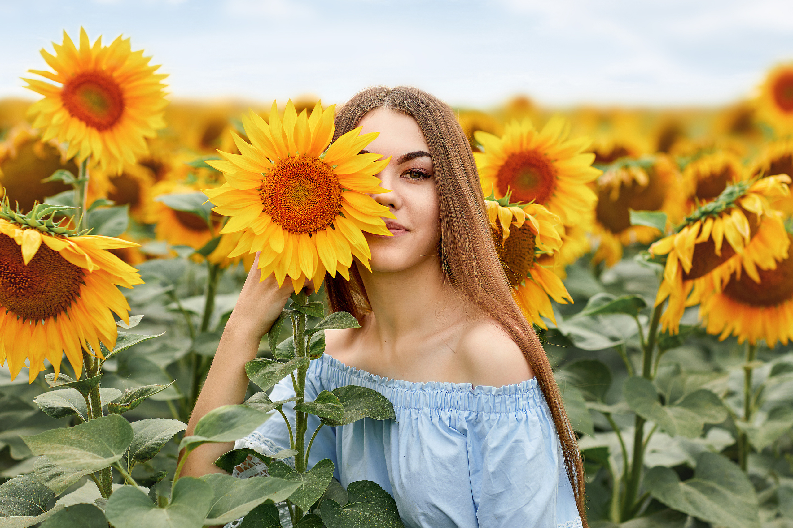 Подсолнухи. Фотограф Одинцово Ковтун Елена