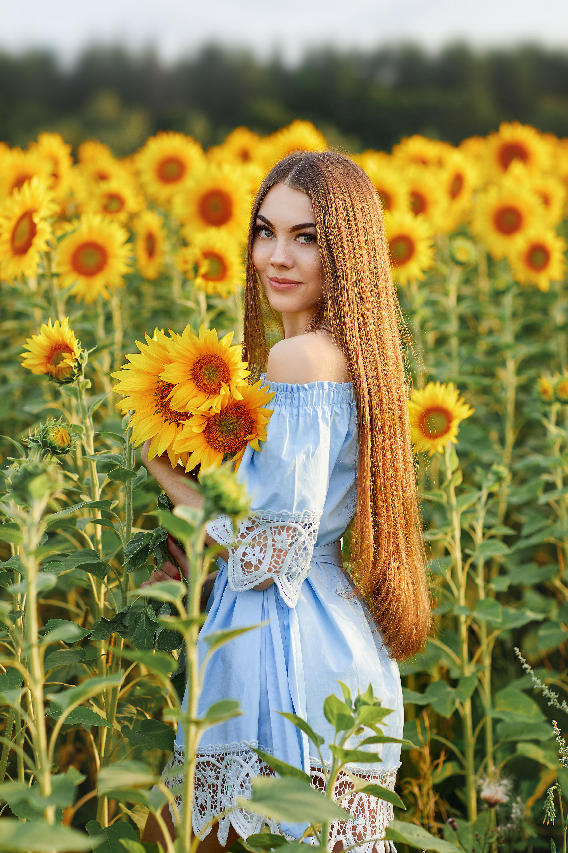 Подсолнухи. Фотограф Одинцово Ковтун Елена