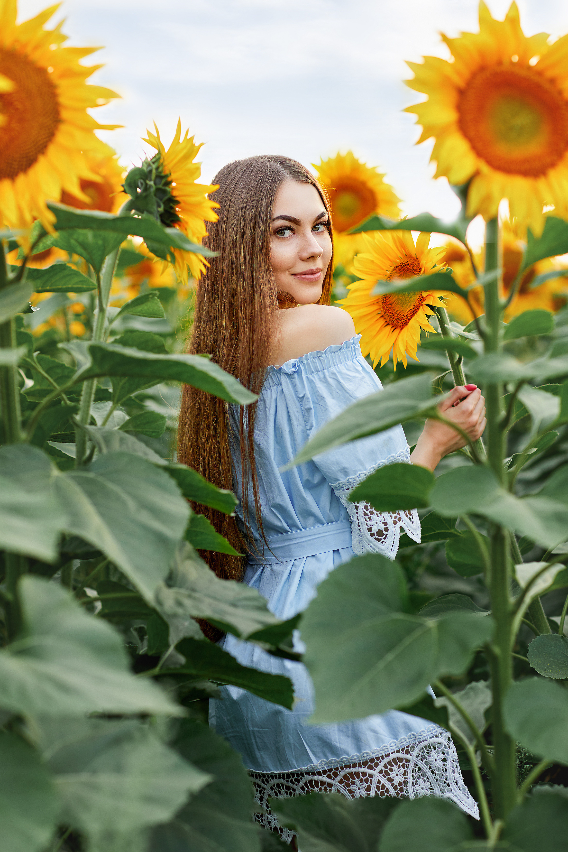 Подсолнухи. Фотограф Одинцово Ковтун Елена