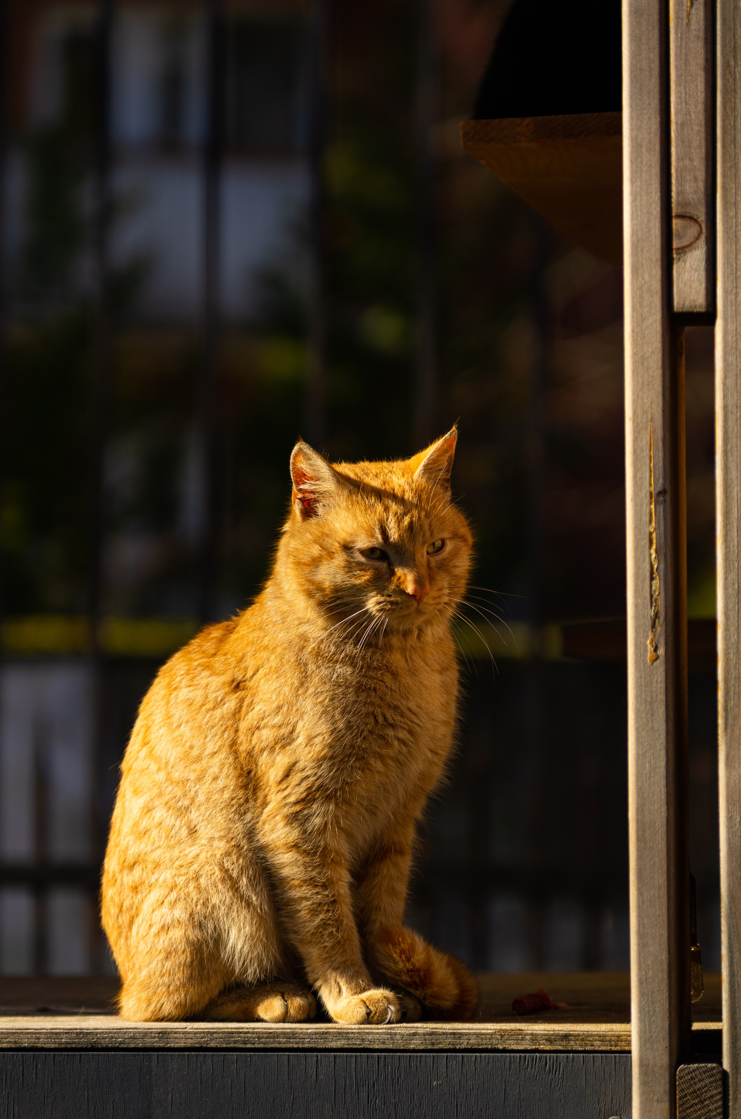 Пейзажи и архитектура. Коммерческий фотограф в Москве Садовников Алексей