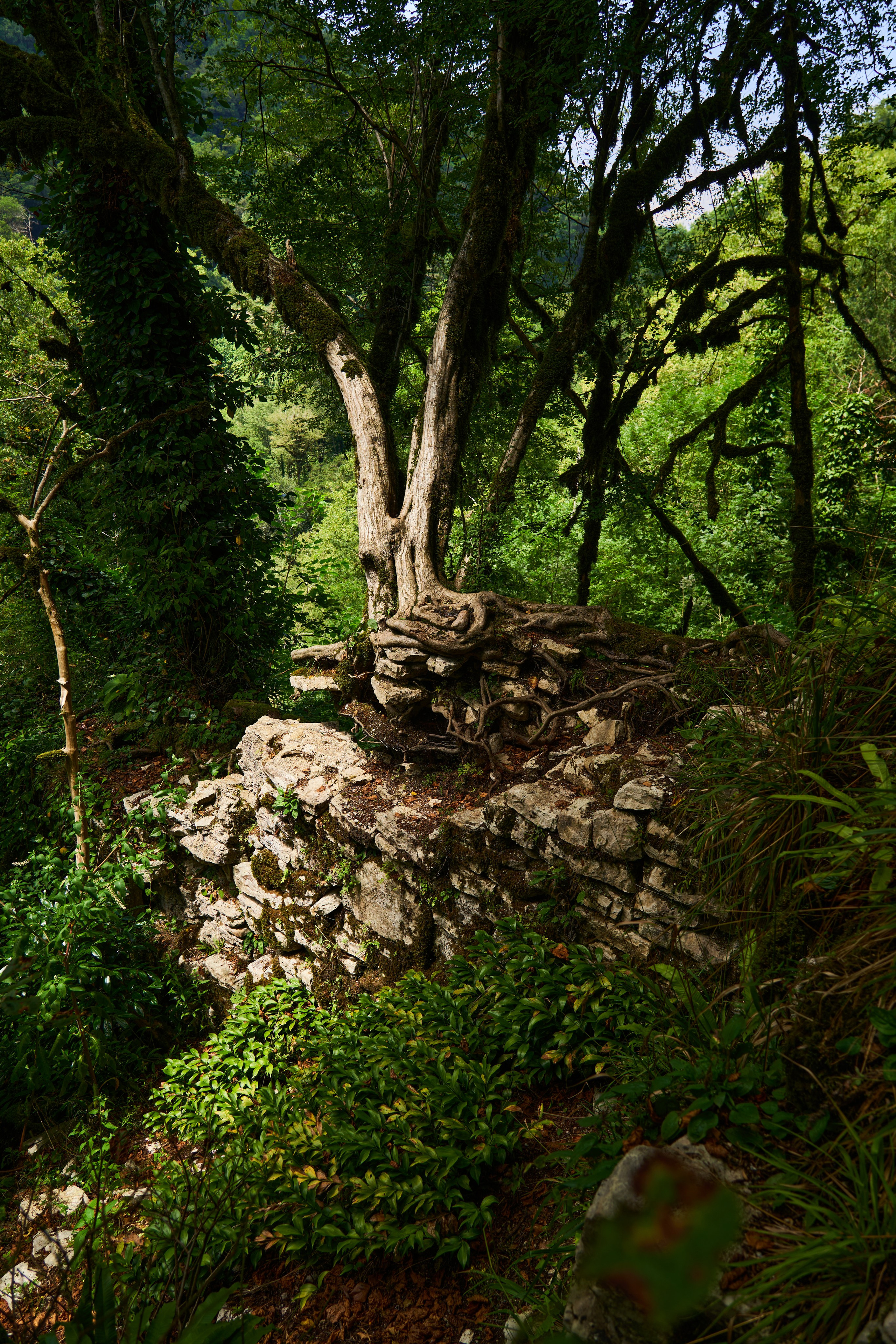 Пейзажи и архитектура. Коммерческий фотограф в Москве Садовников Алексей