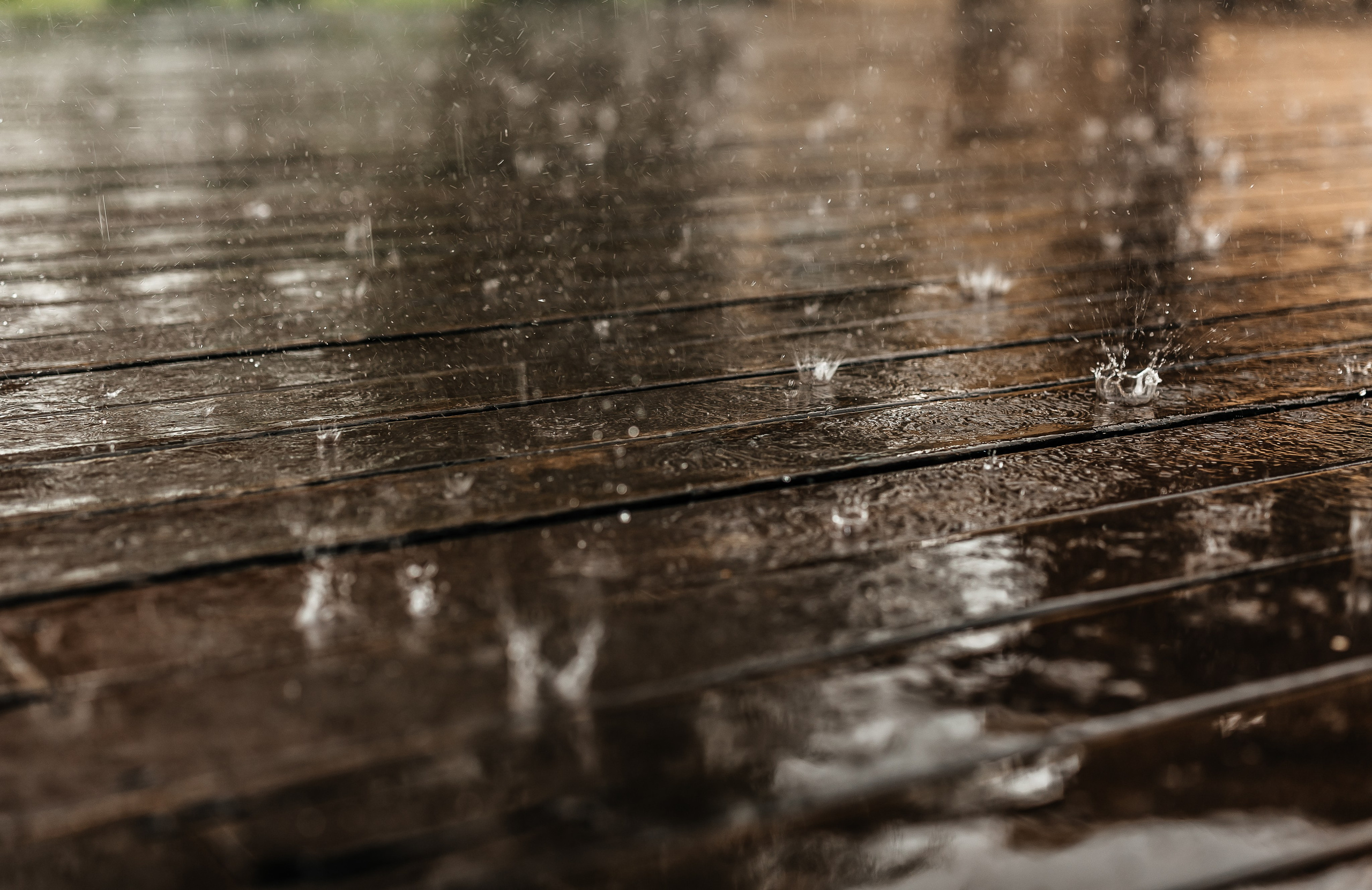 Дмитрий & Марина I 09.07.25. Свадебный и семейный фотограф в Омске Евгения Хакимова