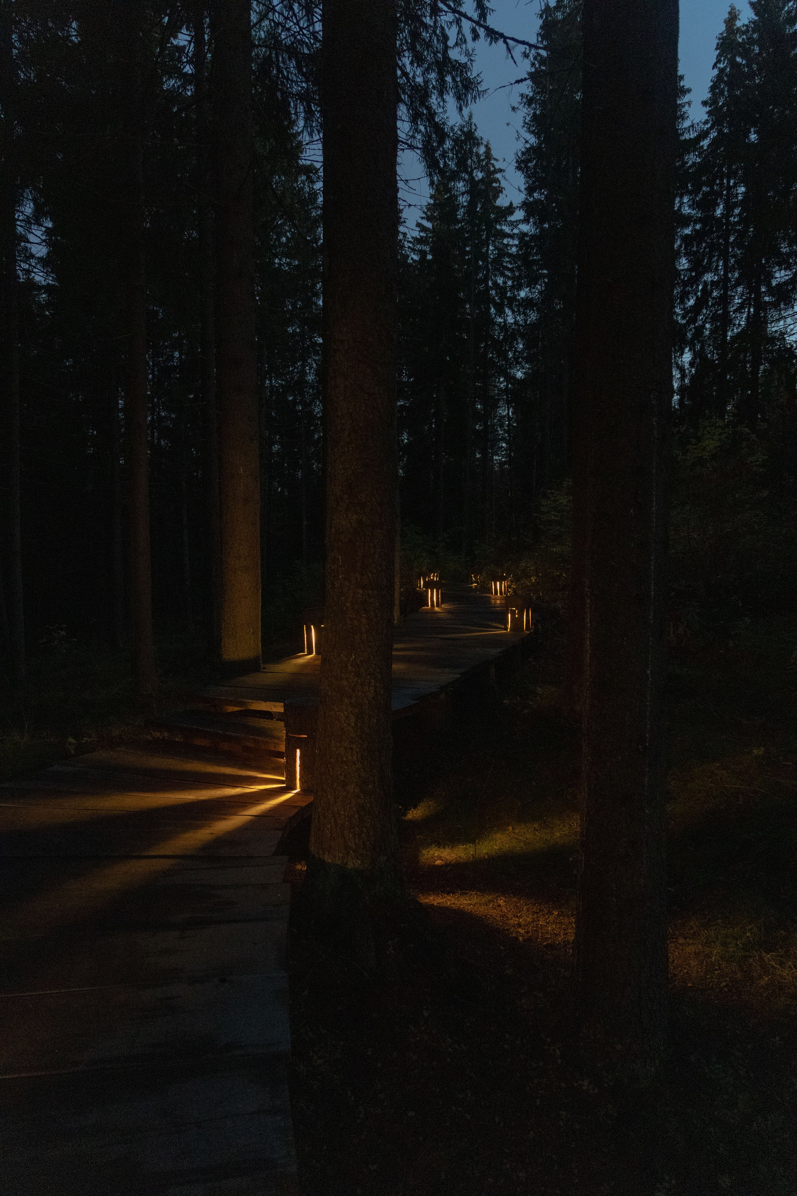 Природа Карелии октябрь 2025. Портретный и семейный фотограф Санкт-Петербург