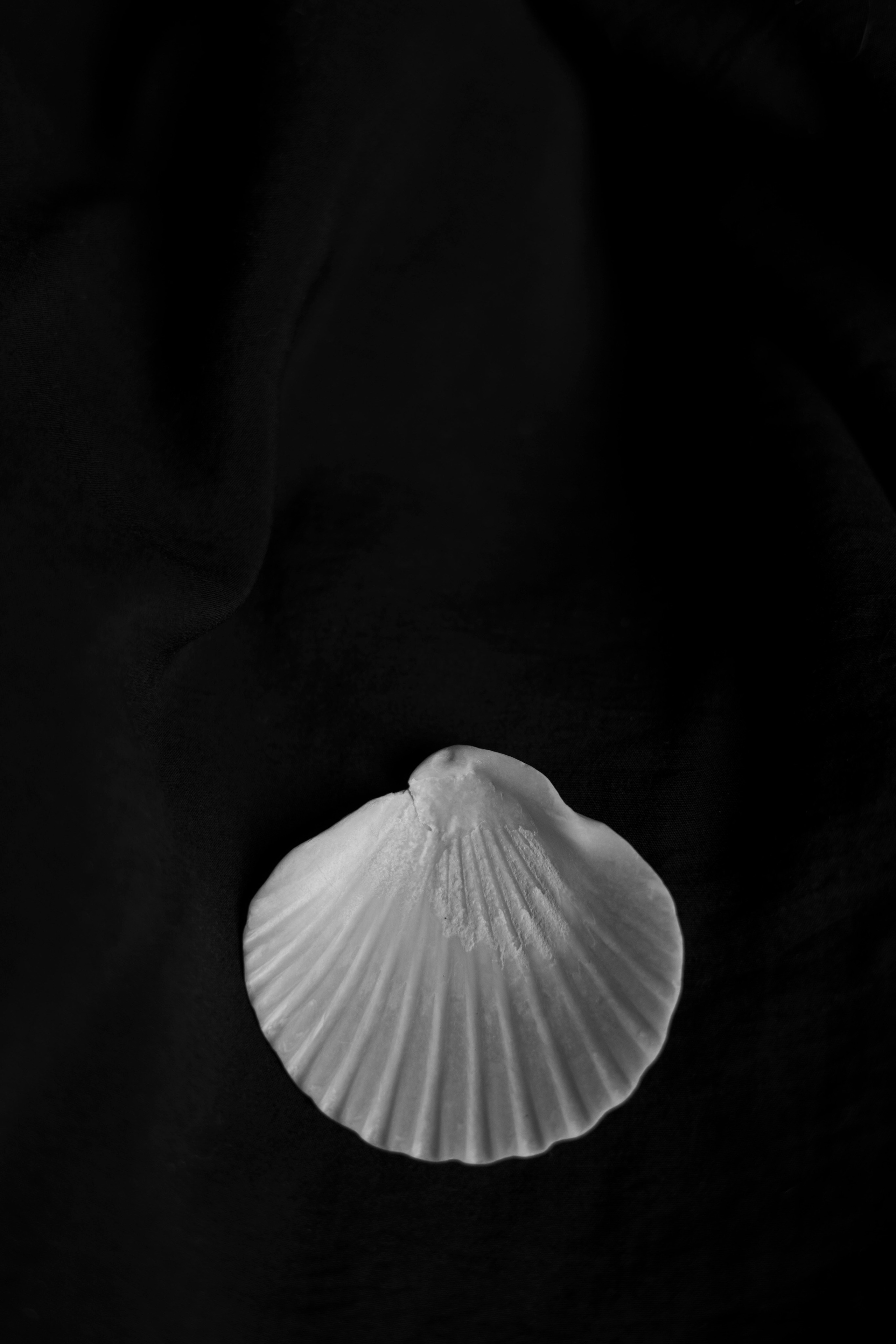 Разности. Портретный и семейный фотограф Санкт-Петербург