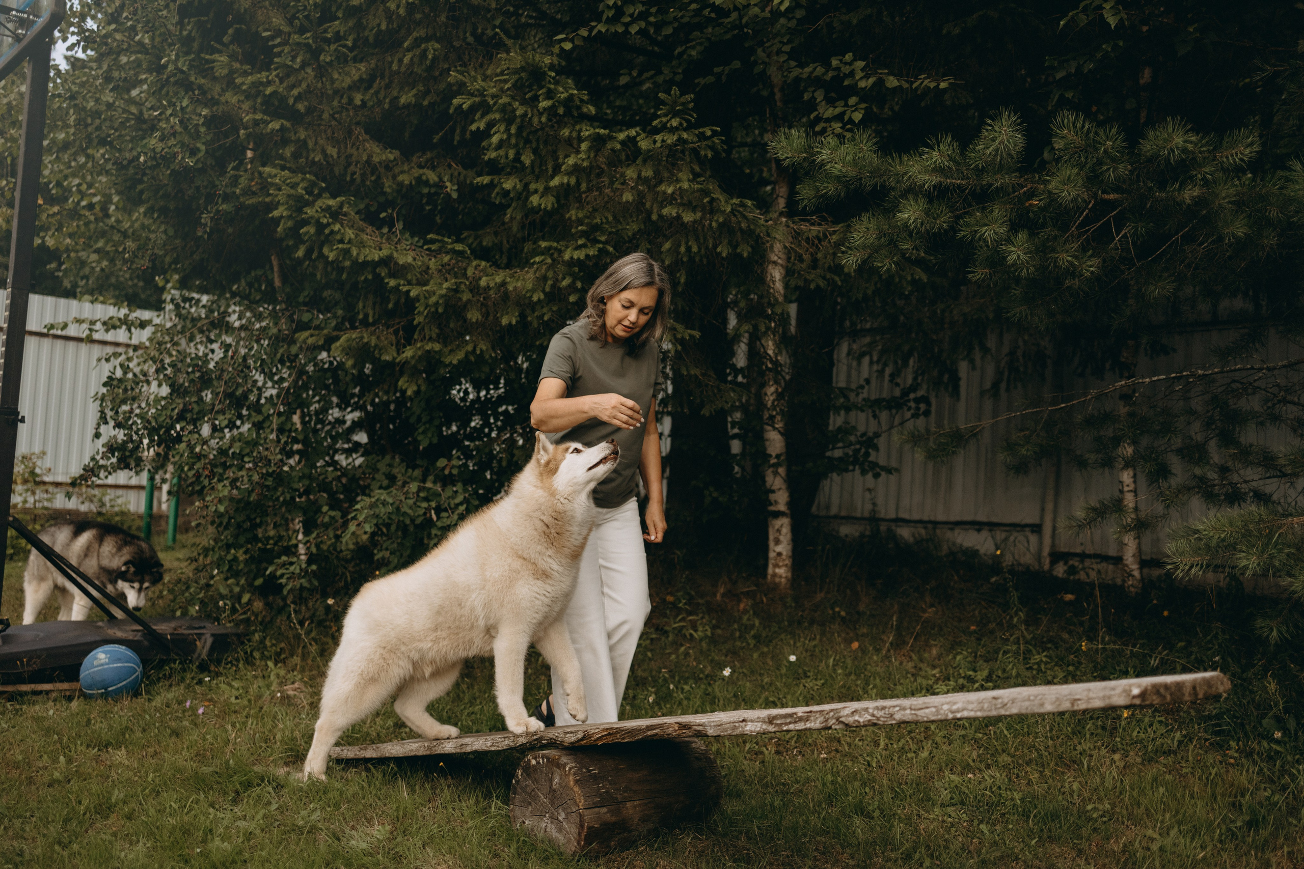Дом у реки. Фотограф — Анималист | Санкт-Петербург