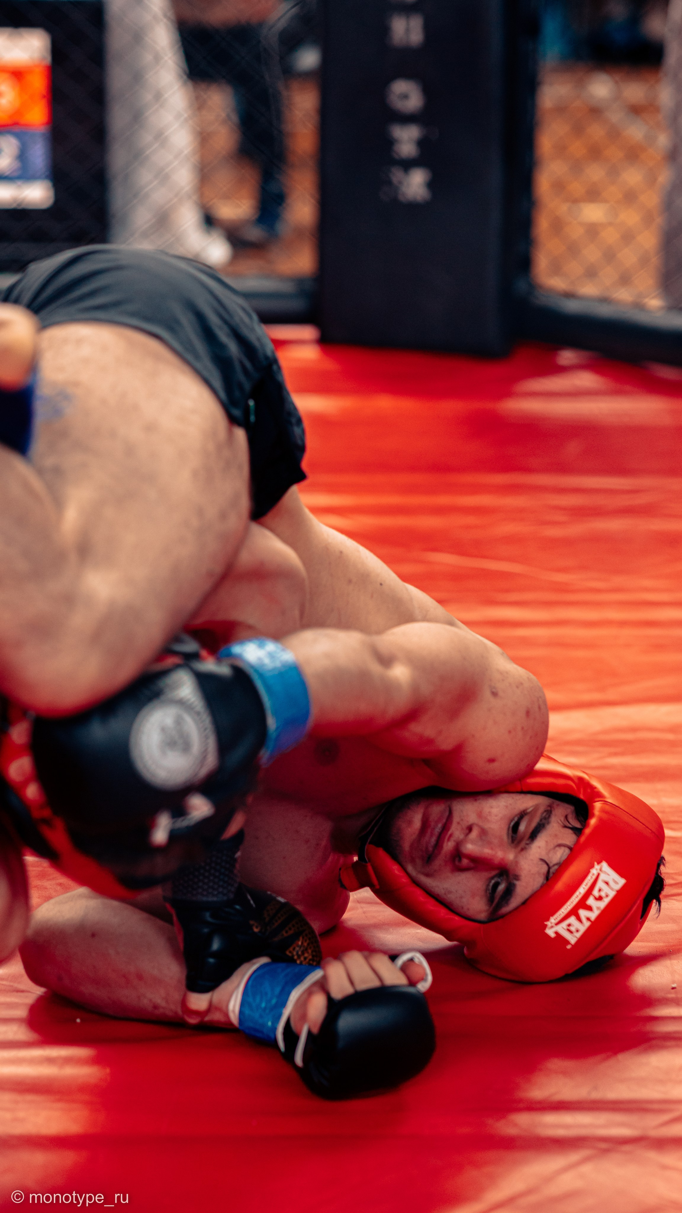 MMA. Бойцовский турнир