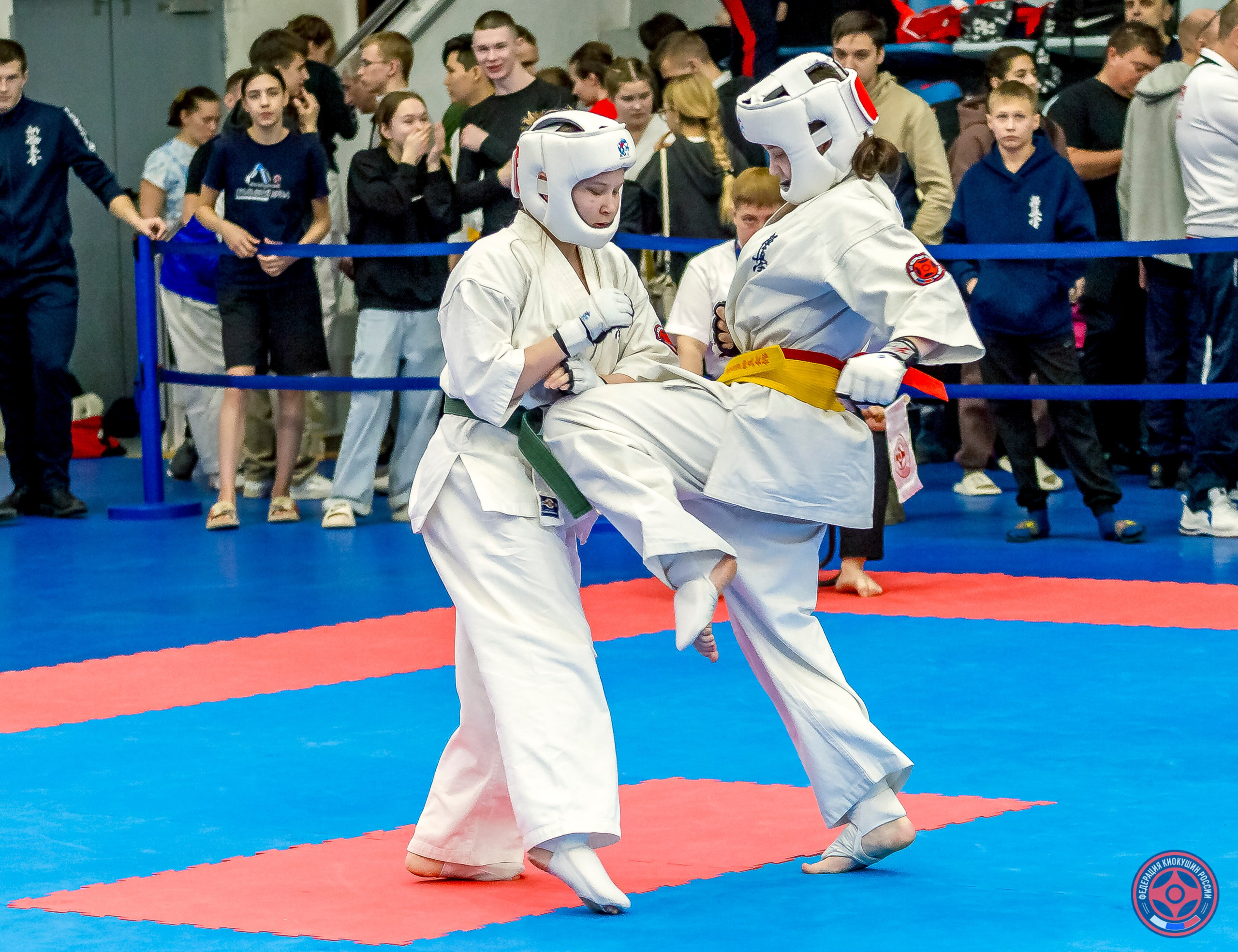 Международный турнир по киокушин «Открытый кубок Seiken». Репортажная съемка в Москве и области. Анималистика