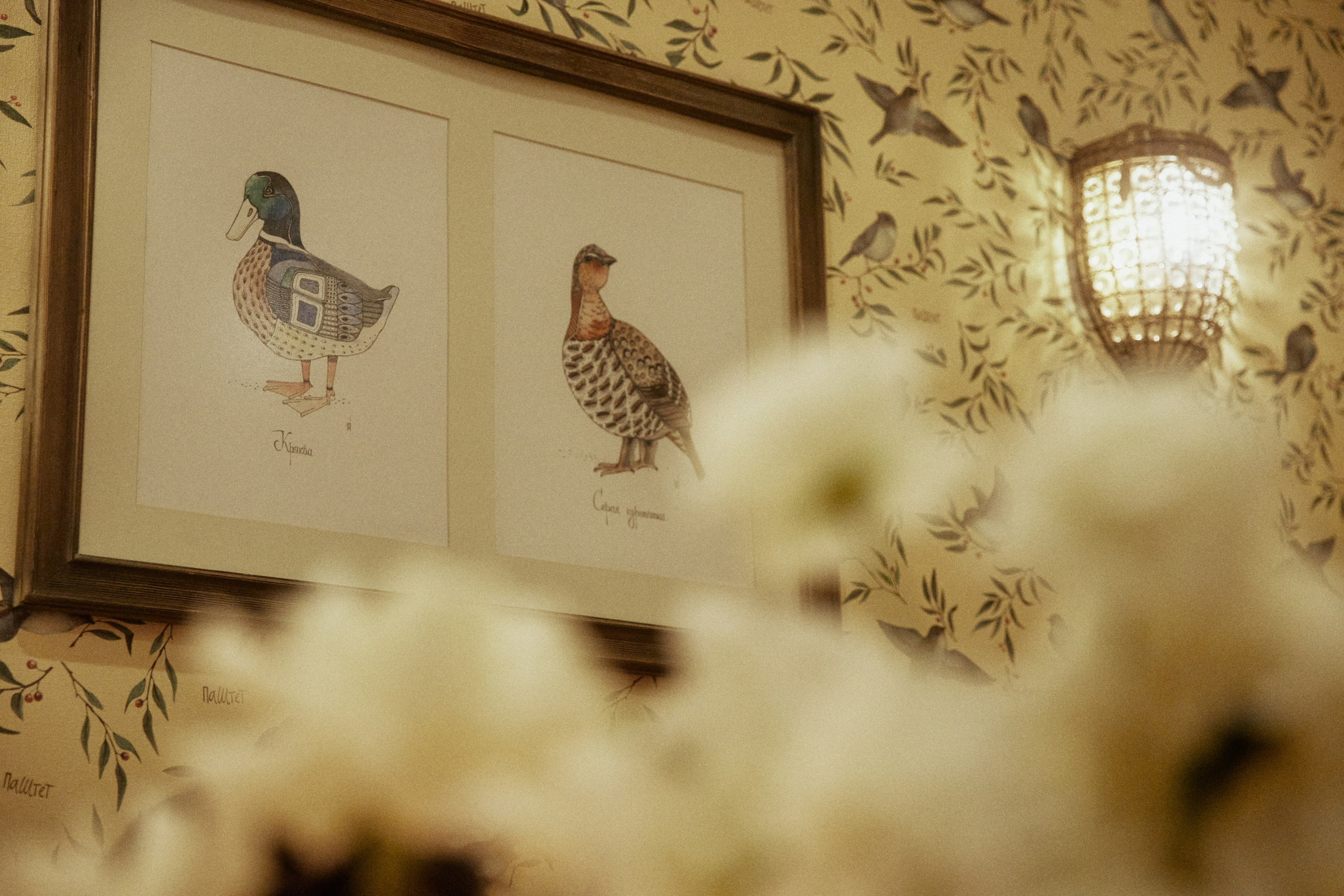 A NEW FAMILY TREE. Дмитрий Мазуркевич: Профессиональный Репортажный Фотограф