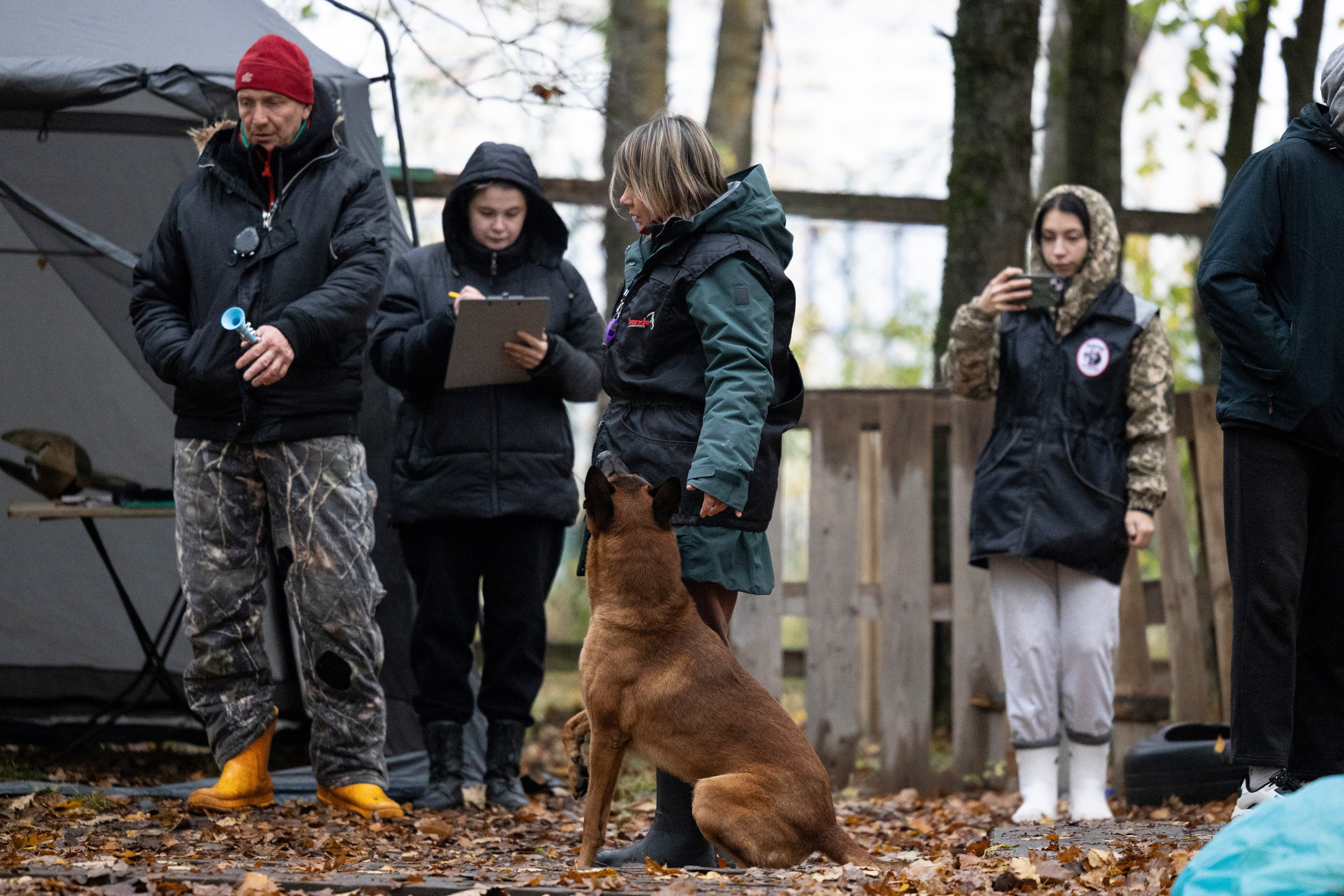 Соревнования по Мондьорингу г. Вологда. Фотограф-анималист Анна Маринич