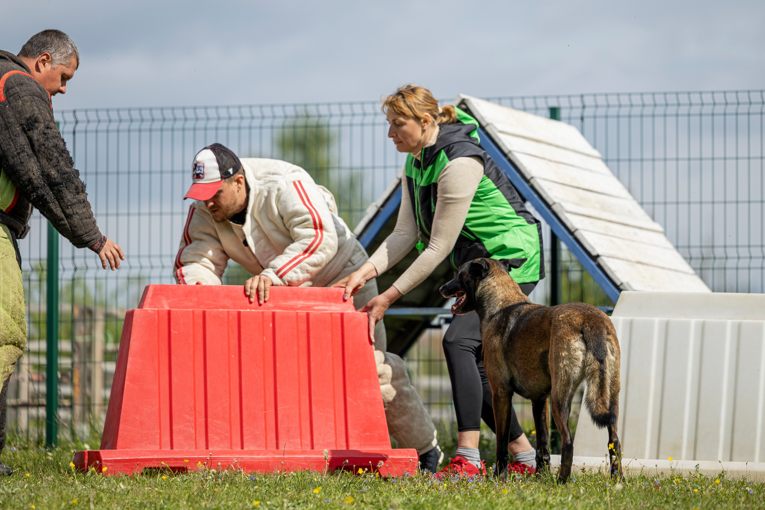 Испытания по мондьорингу в Нижнем Новгороде. Фотограф-анималист Анна Маринич