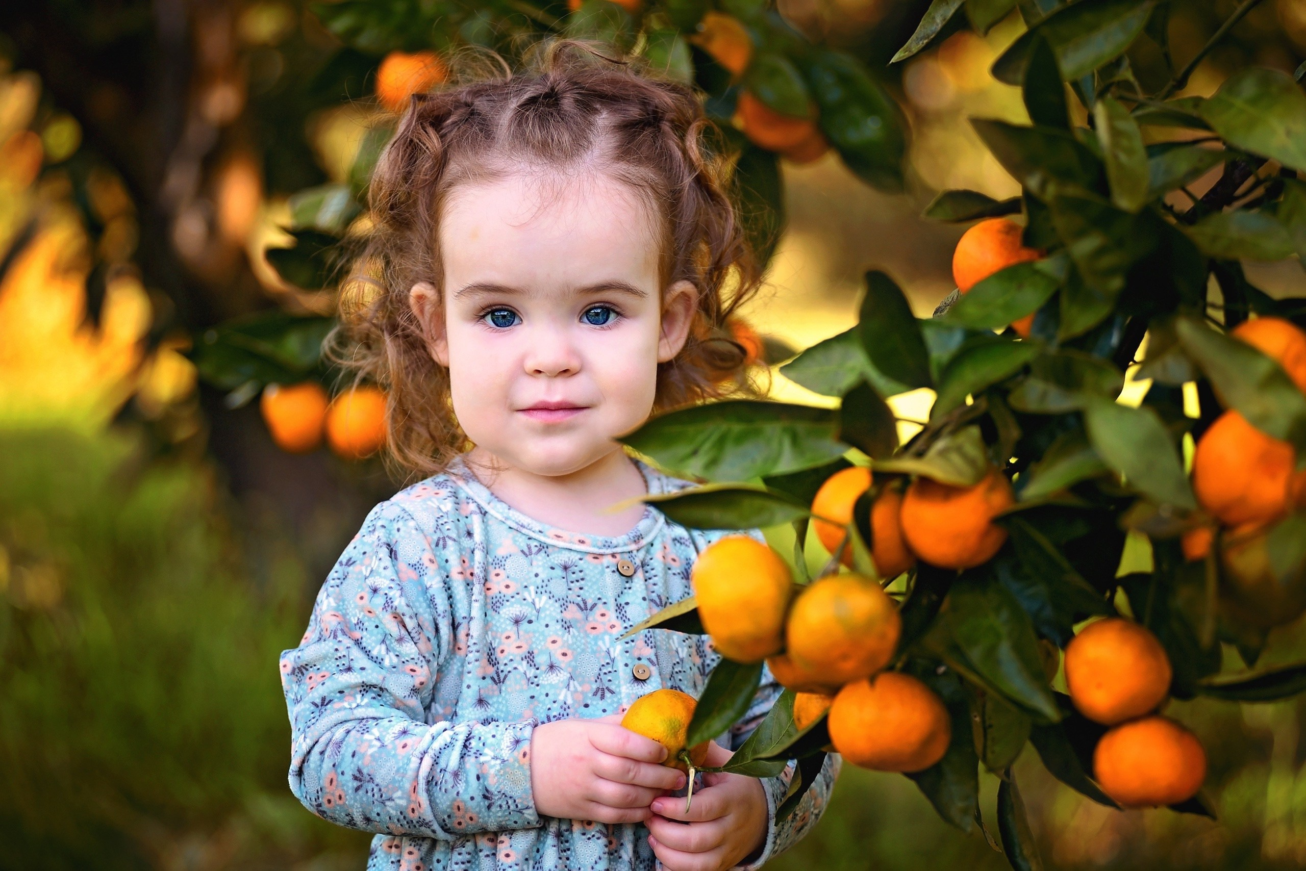 Мандарины. Главная