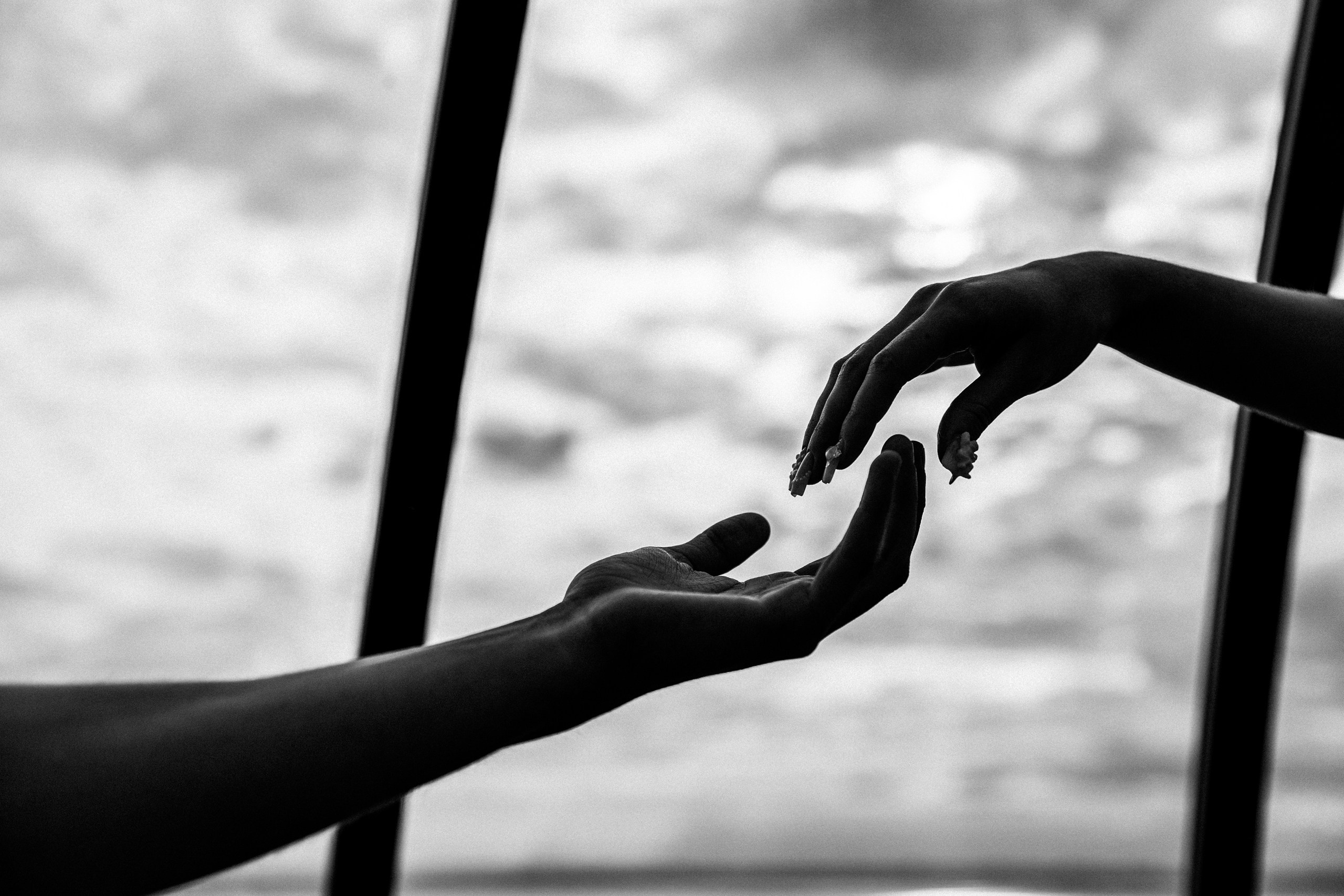 Above the sky. MANGO EVENTS Организация свадеб и мероприятий