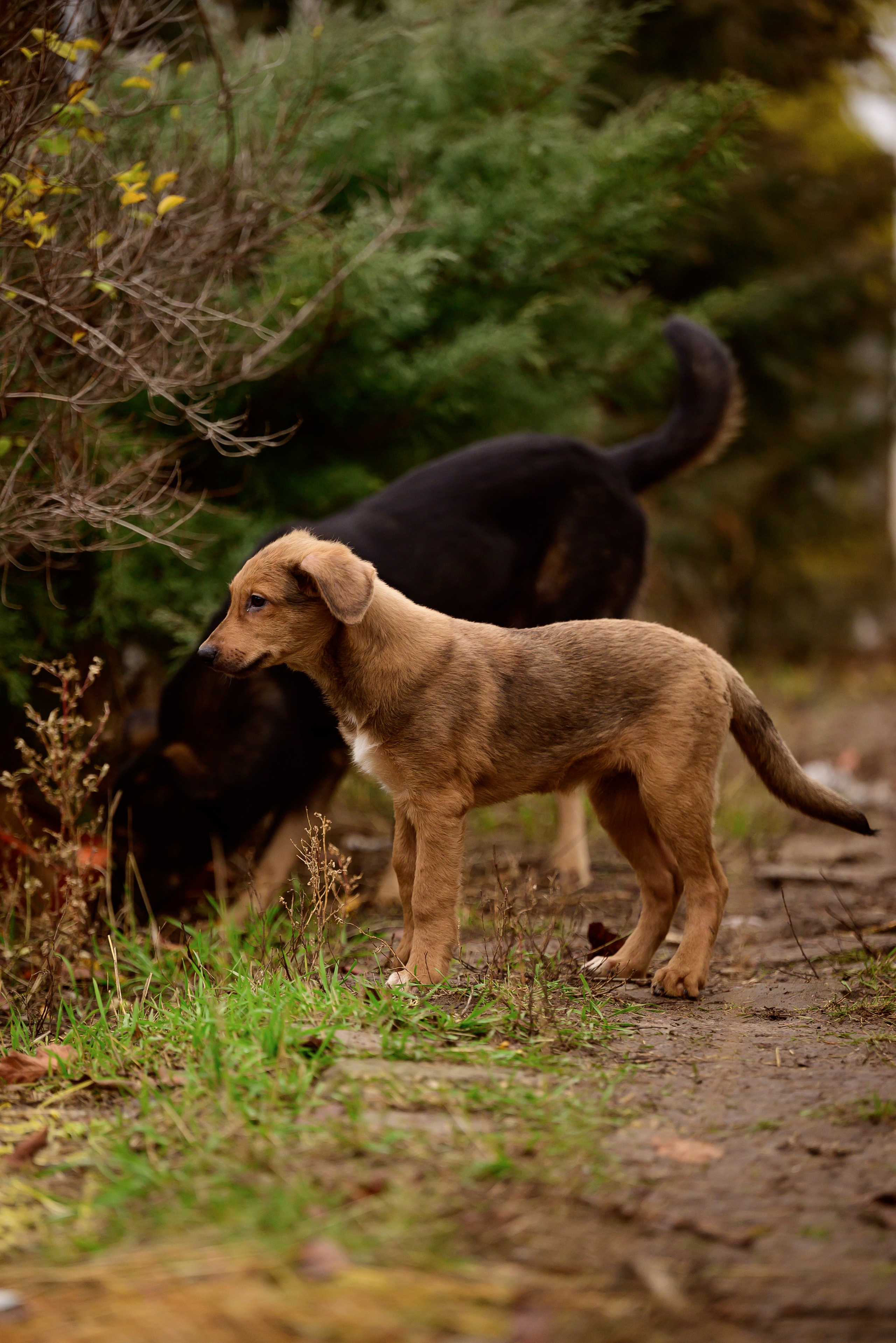 Круассанчики. Мила Астахова