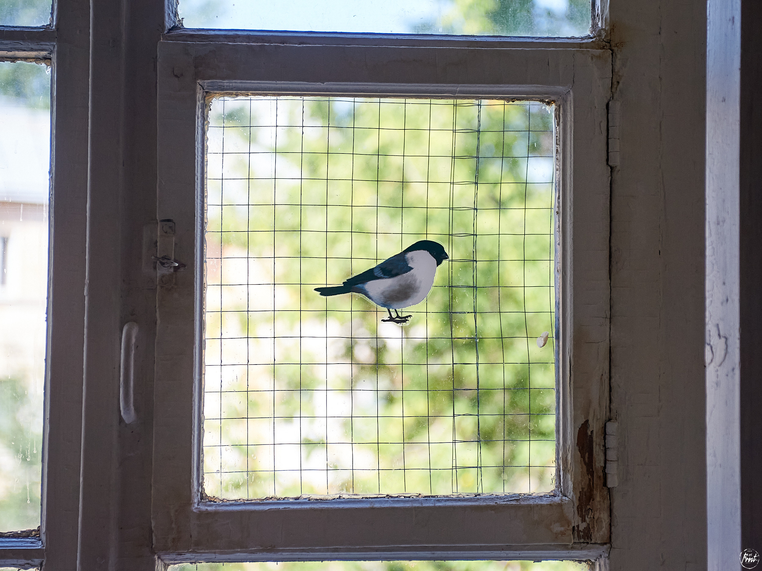 Backstage сериала «Гриша Субботин». Фотографии отовсюду и обо всем