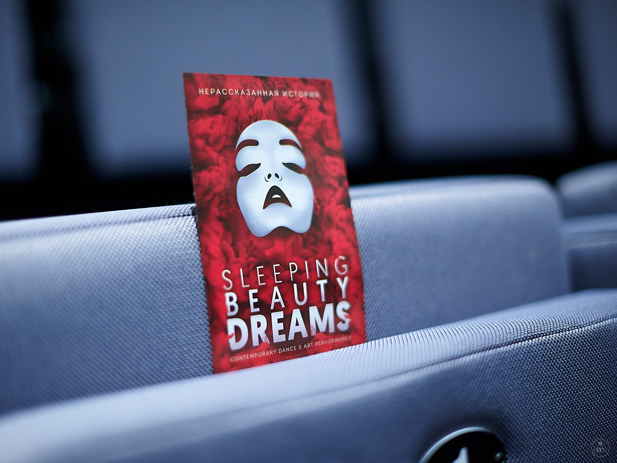 Sleeping Beauty Dreams. Фотографии отовсюду и обо всем