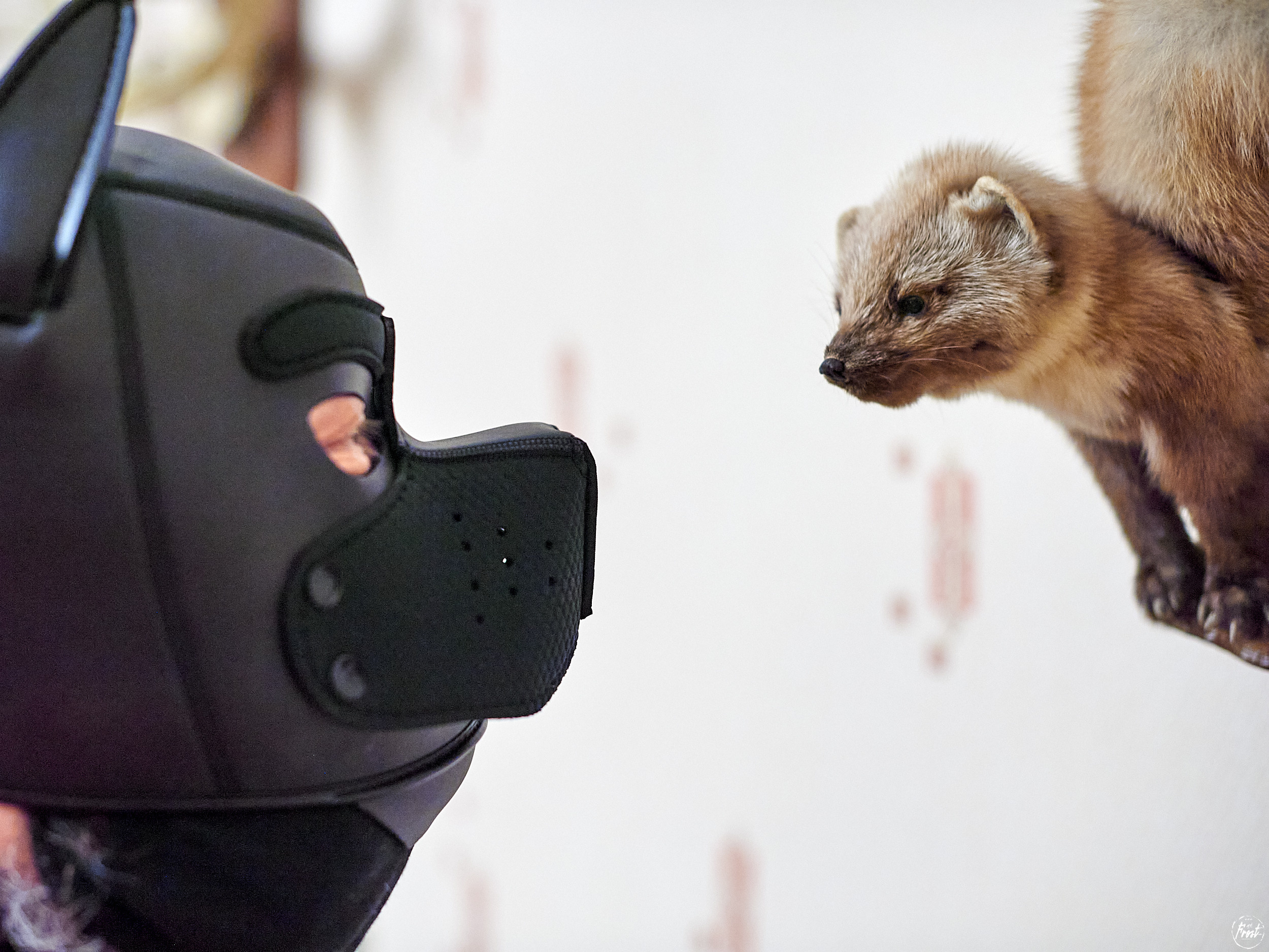 Backstage сериала «Гриша Субботин». Фотографии отовсюду и обо всем