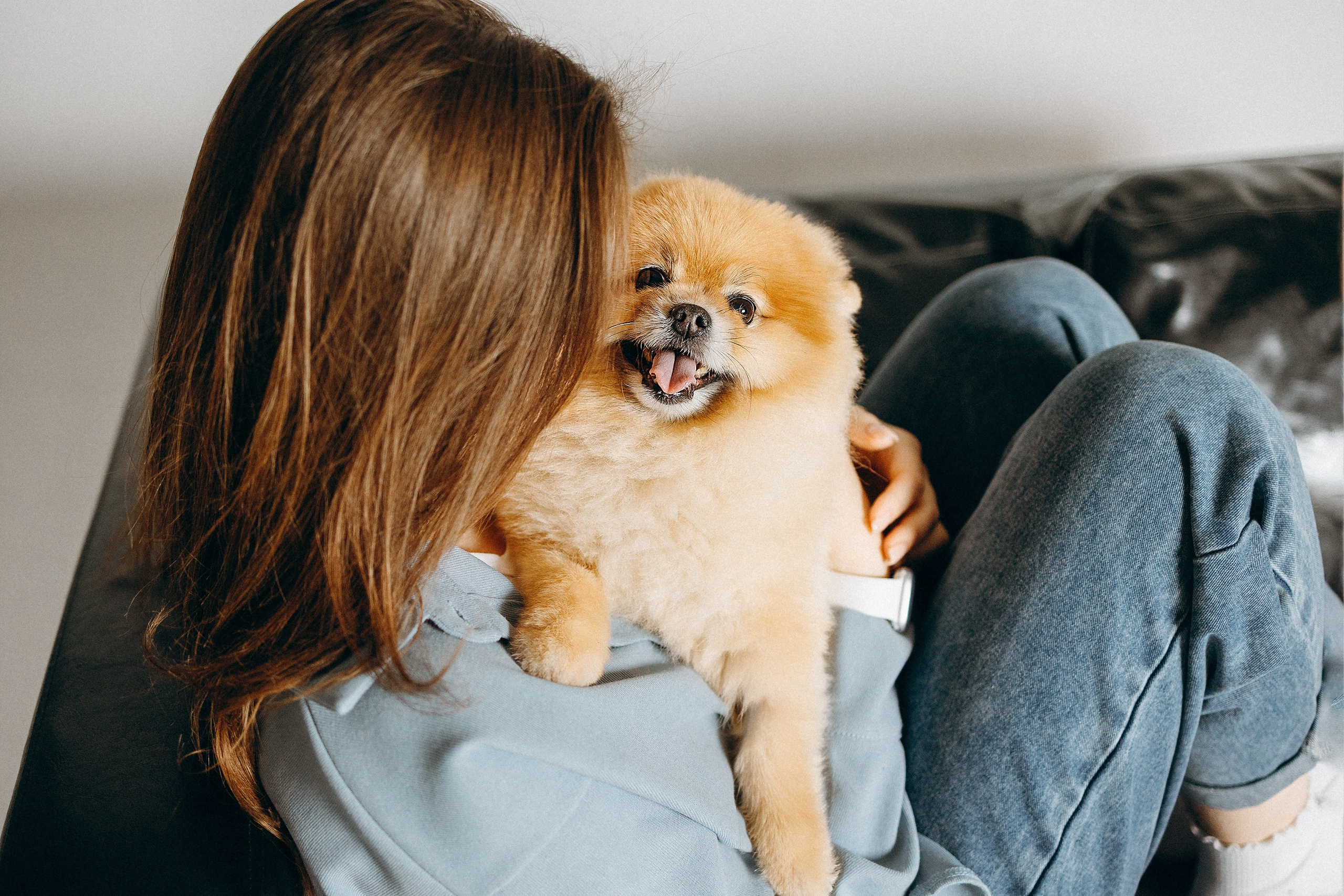 Индивидуальная фотосессия Лизы. Фотограф. Фотограф-анималист. Москва
