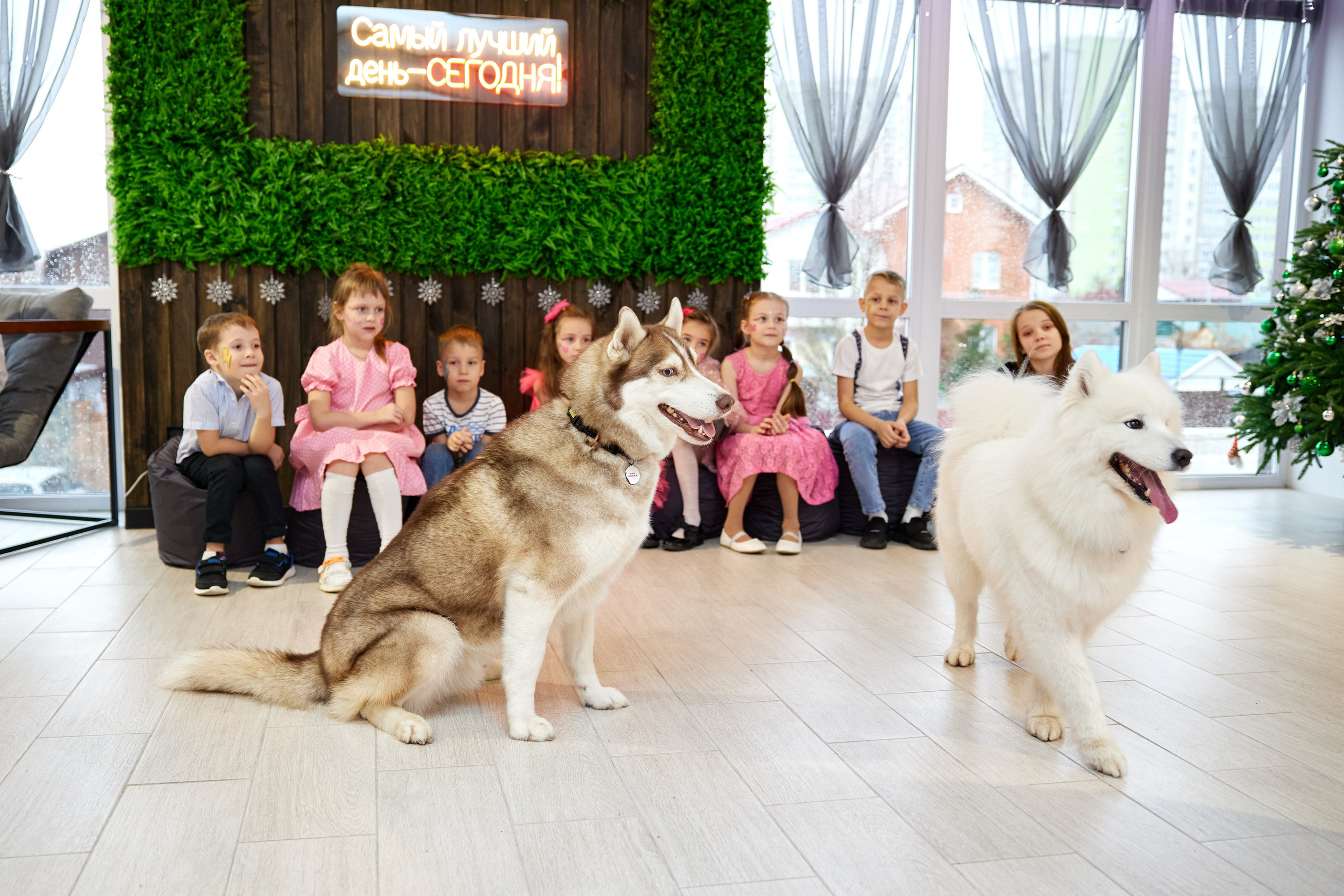 Студия праздников. Разножанровый Фотограф в Омске Артём Руднев