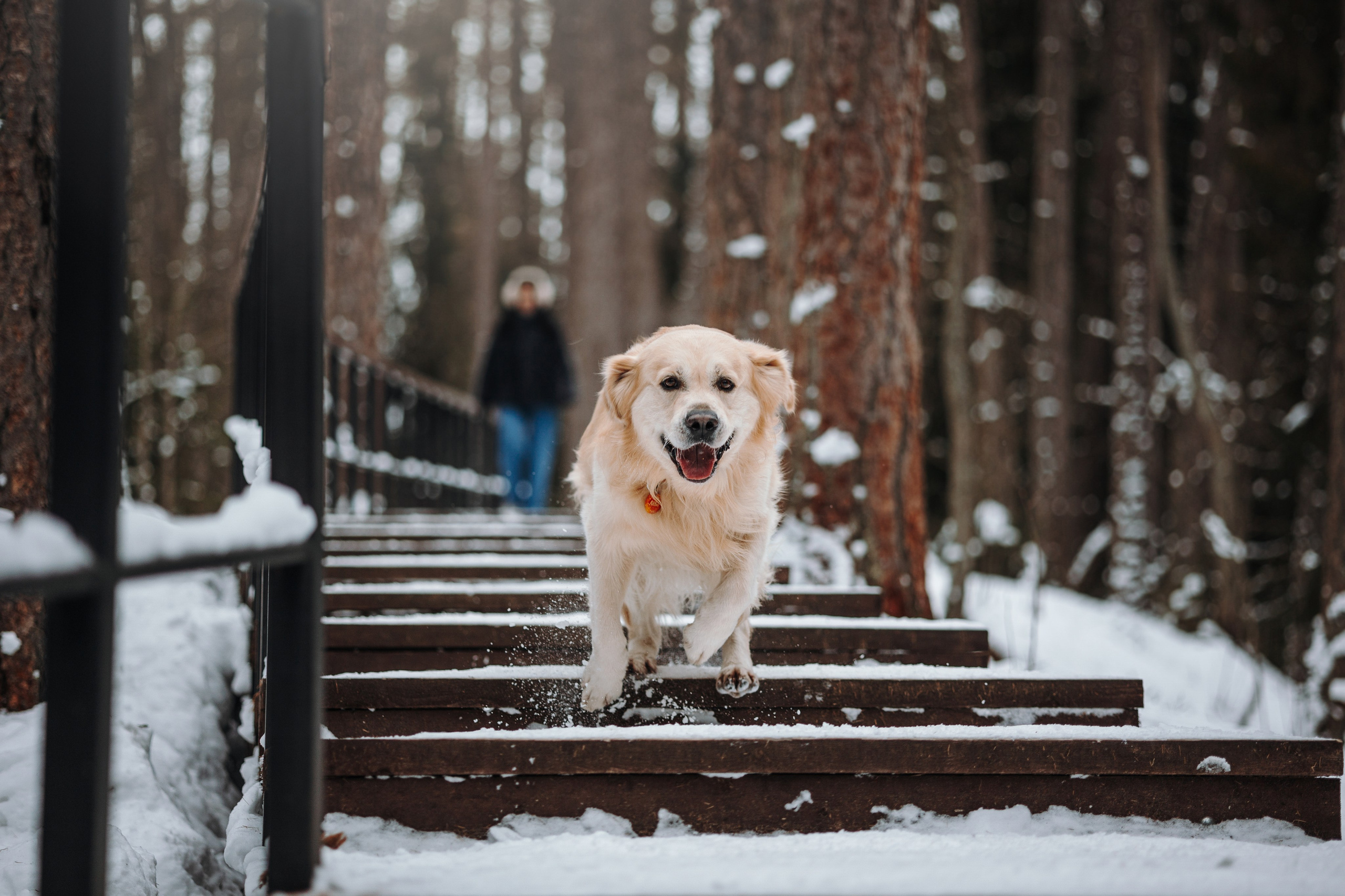 Вика и Лёва. Фотограф — Анималист | Санкт-Петербург