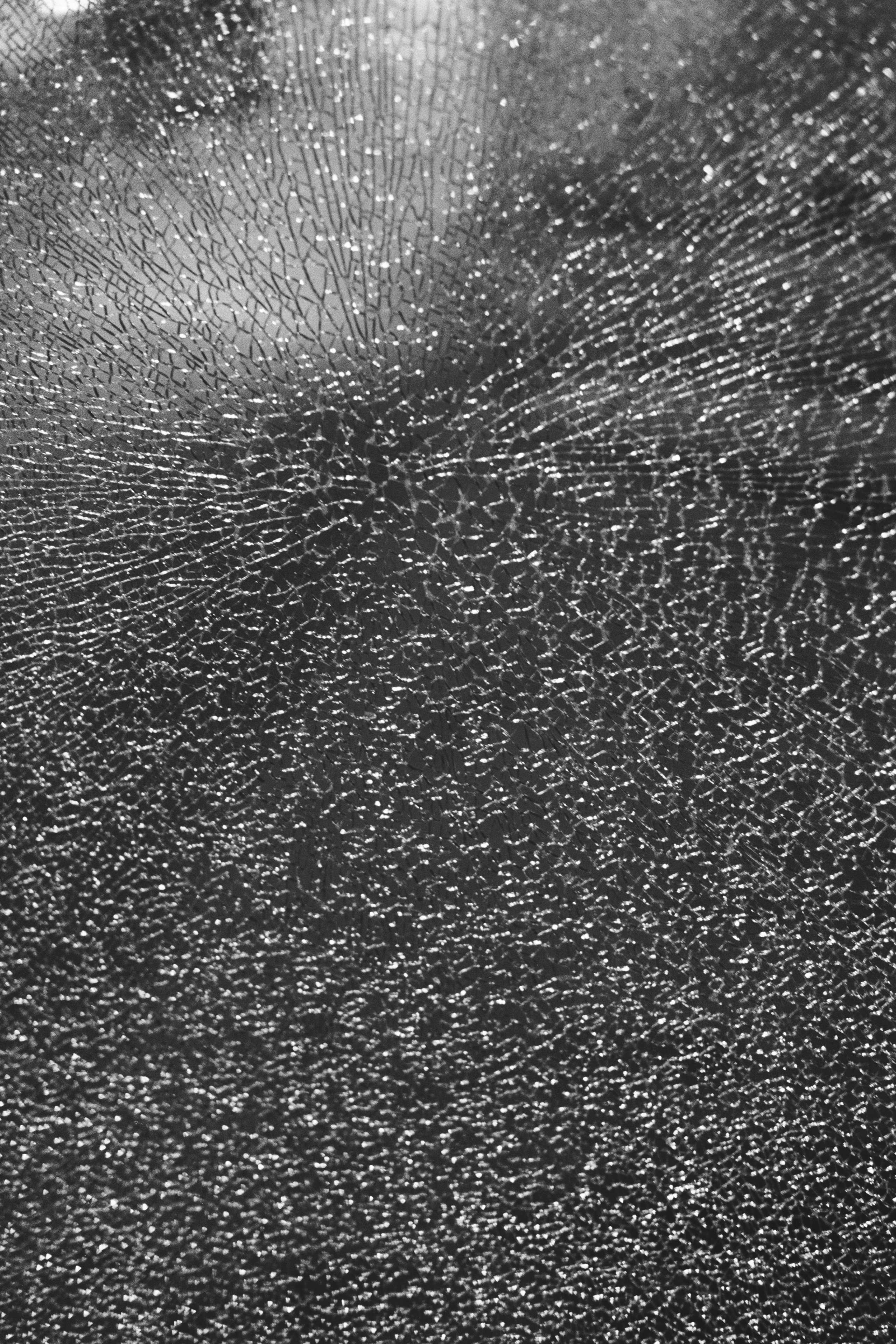 Grain. Artem Khusainov