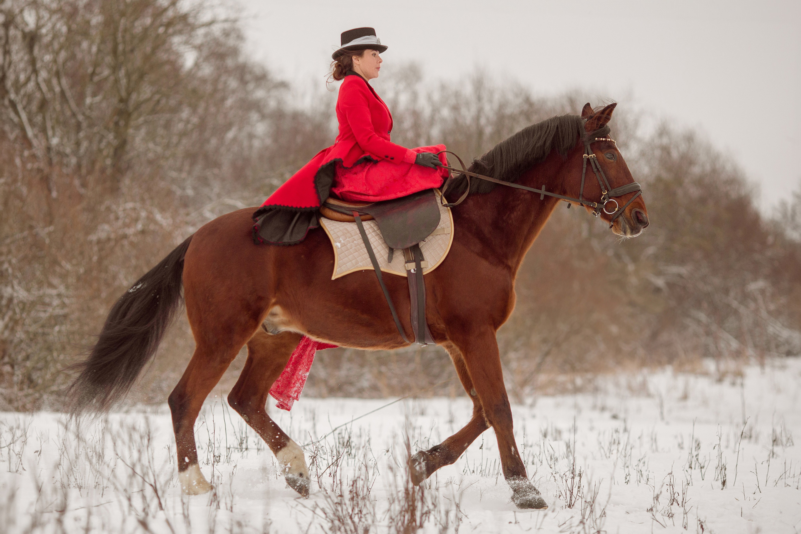 Фотосессия с лошадью в красном костюме