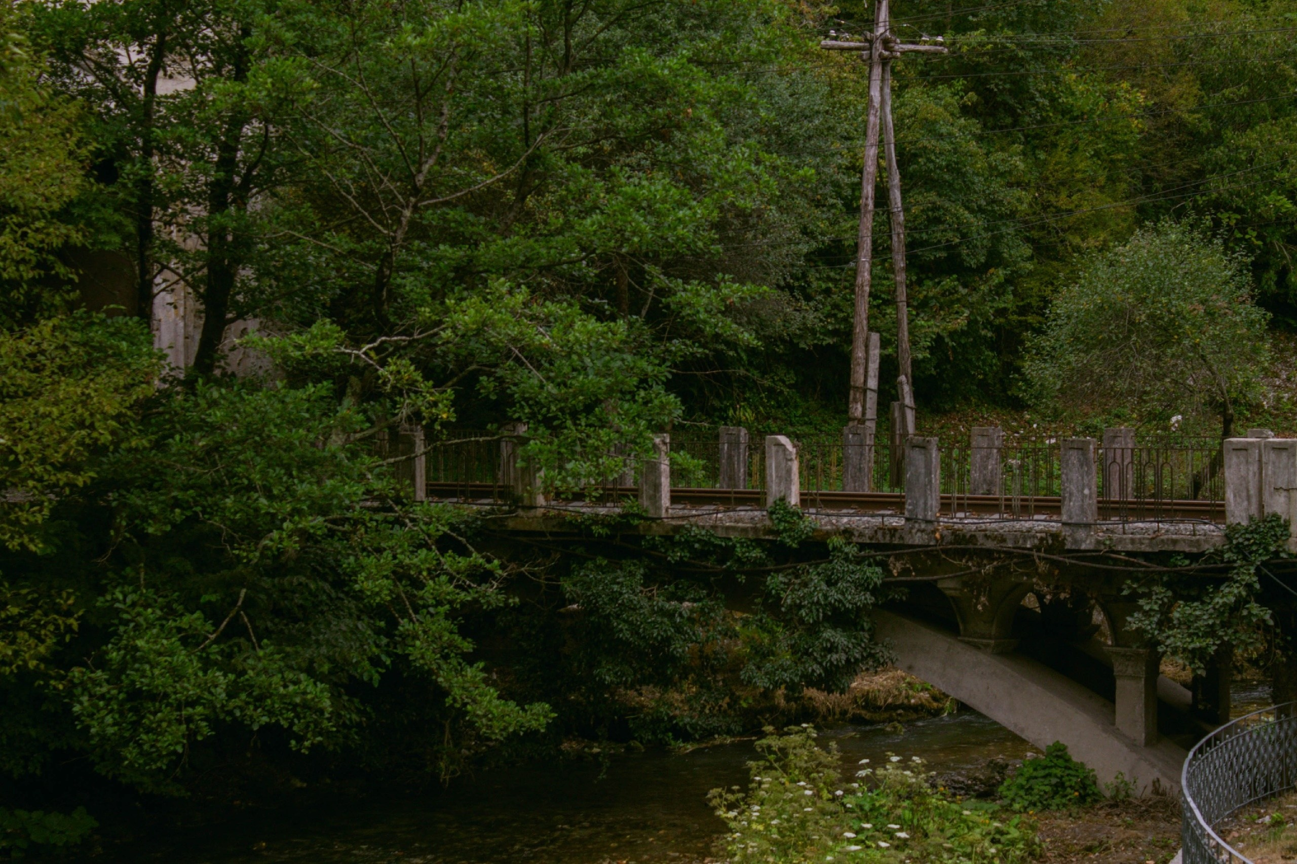 Абхазия. Фотограф и видеограф в Бугульме Аня Трутнева