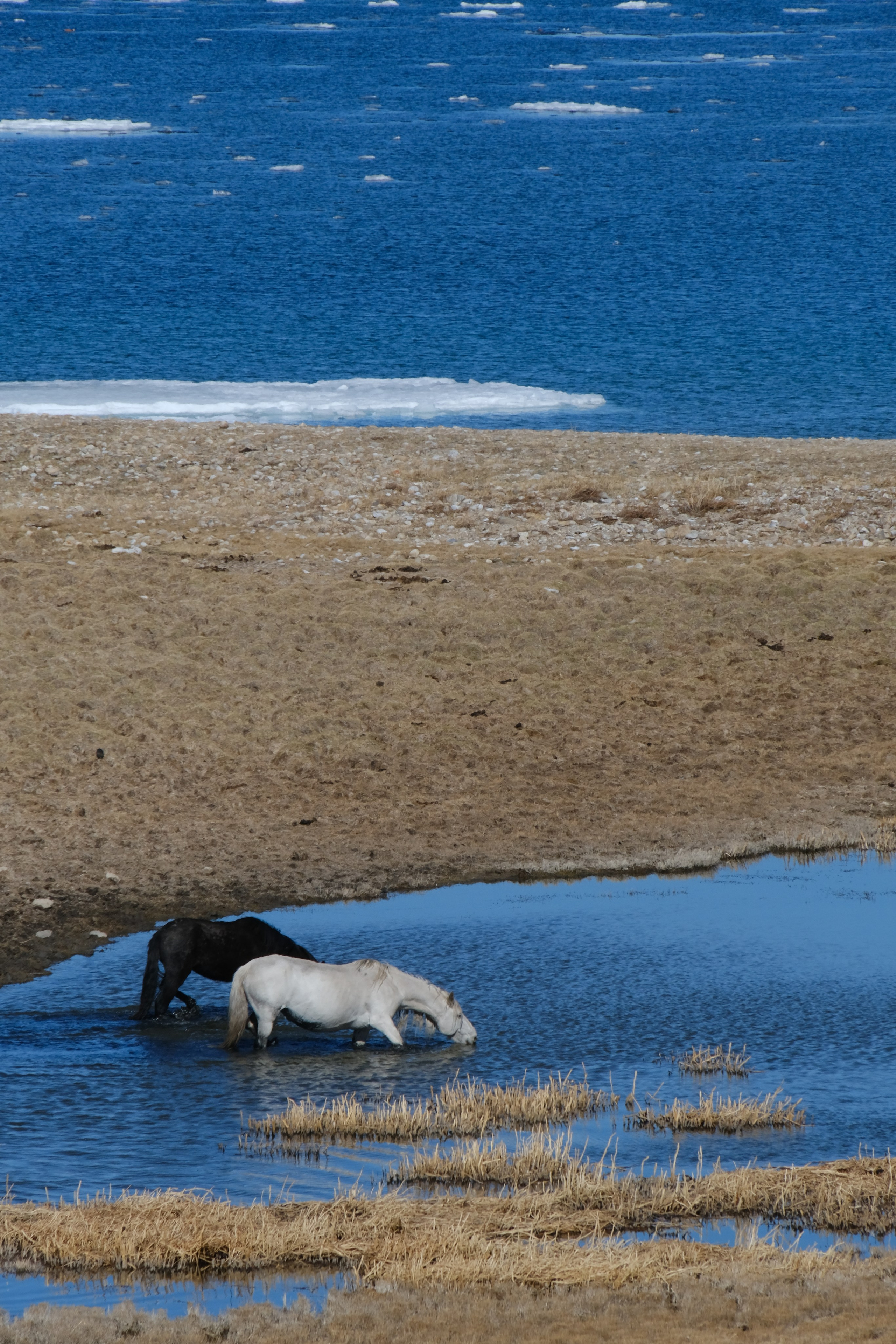 Байкал I Май 2023. Commercial photographer Natalia Bychkova