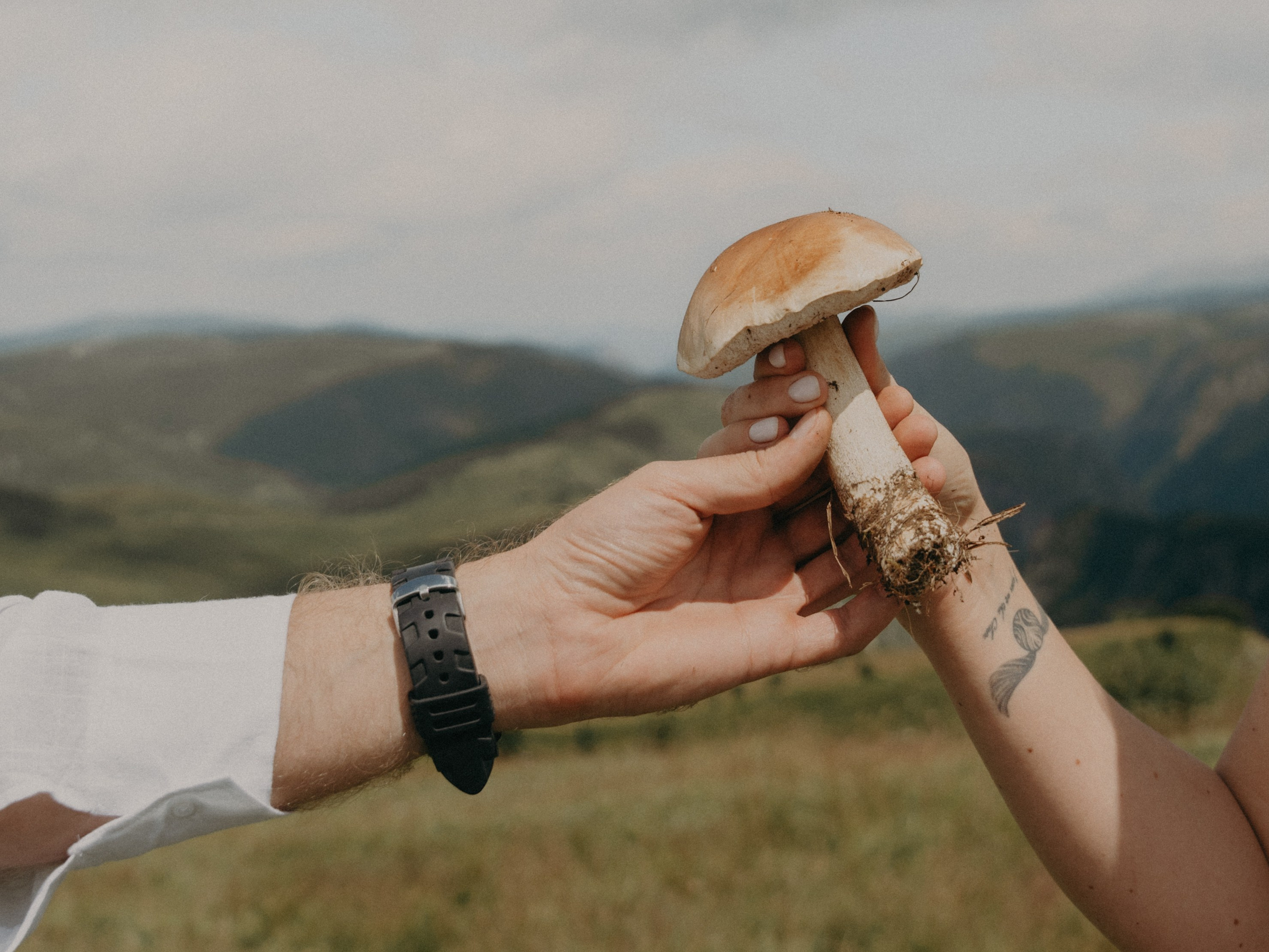 А&А. Свадебный фотограф Ирина Беляева Пятигорск|Кисловодск|Эльбрус|Домбай