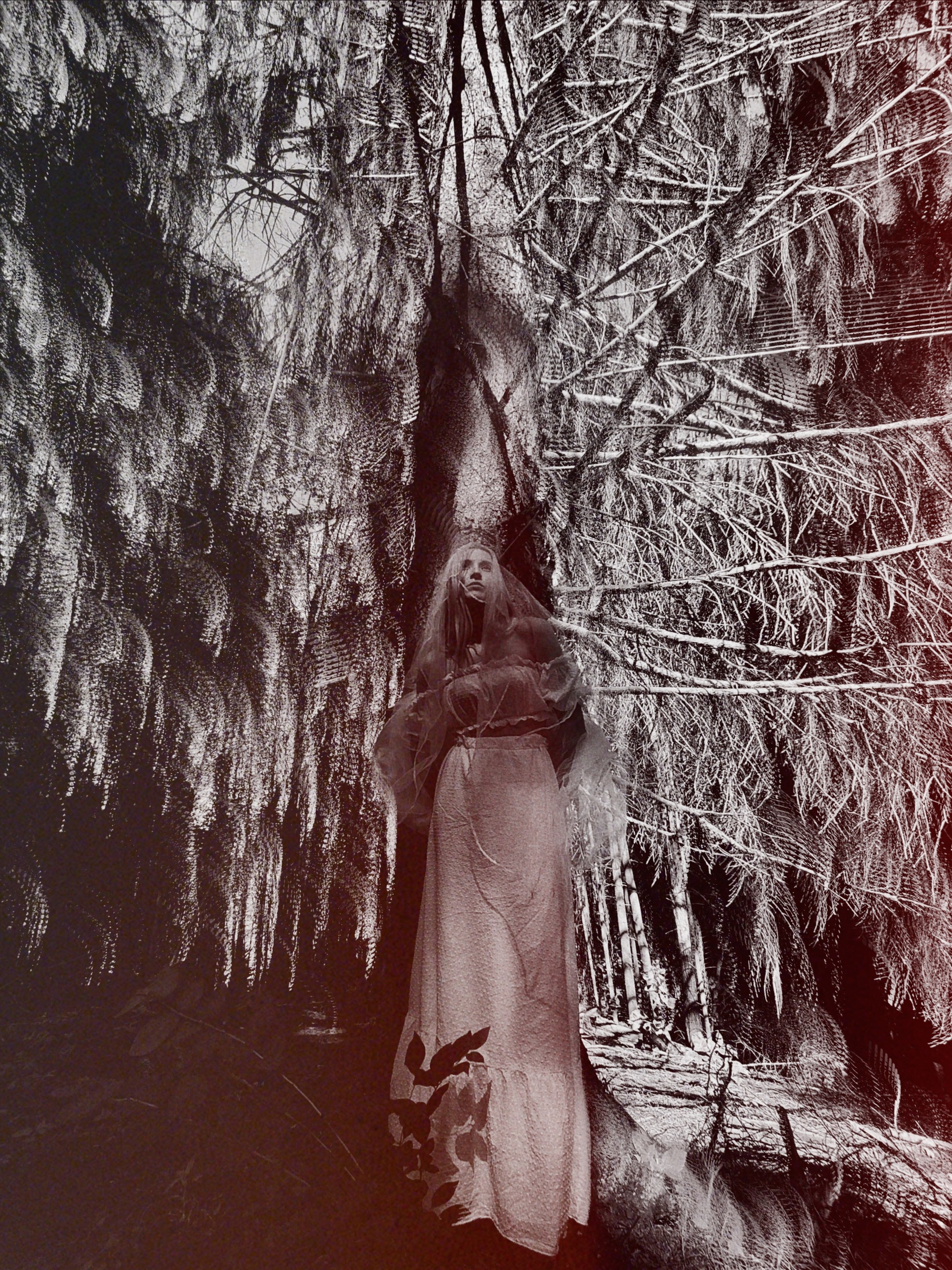 Обо мне. Sveti Sveta • визуальный артист Светлана Дубских