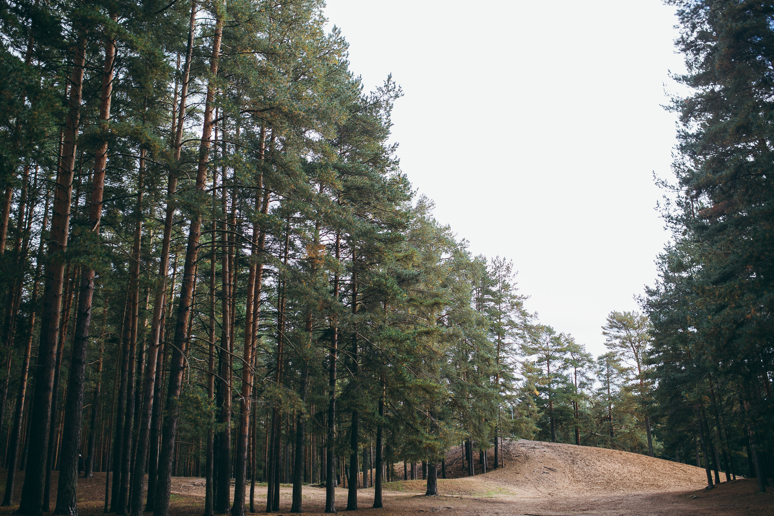 Виктор и Юлия. Фотограф Андрианов Кирилл