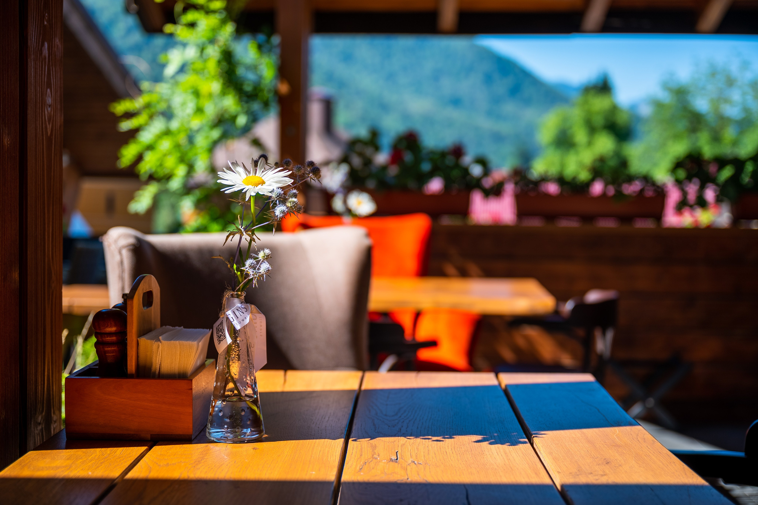 Ресторан «Трикони» в Красной Поляне. Репортажный фотограф в Красной Поляне и Сочи Павлюченко Екатерина