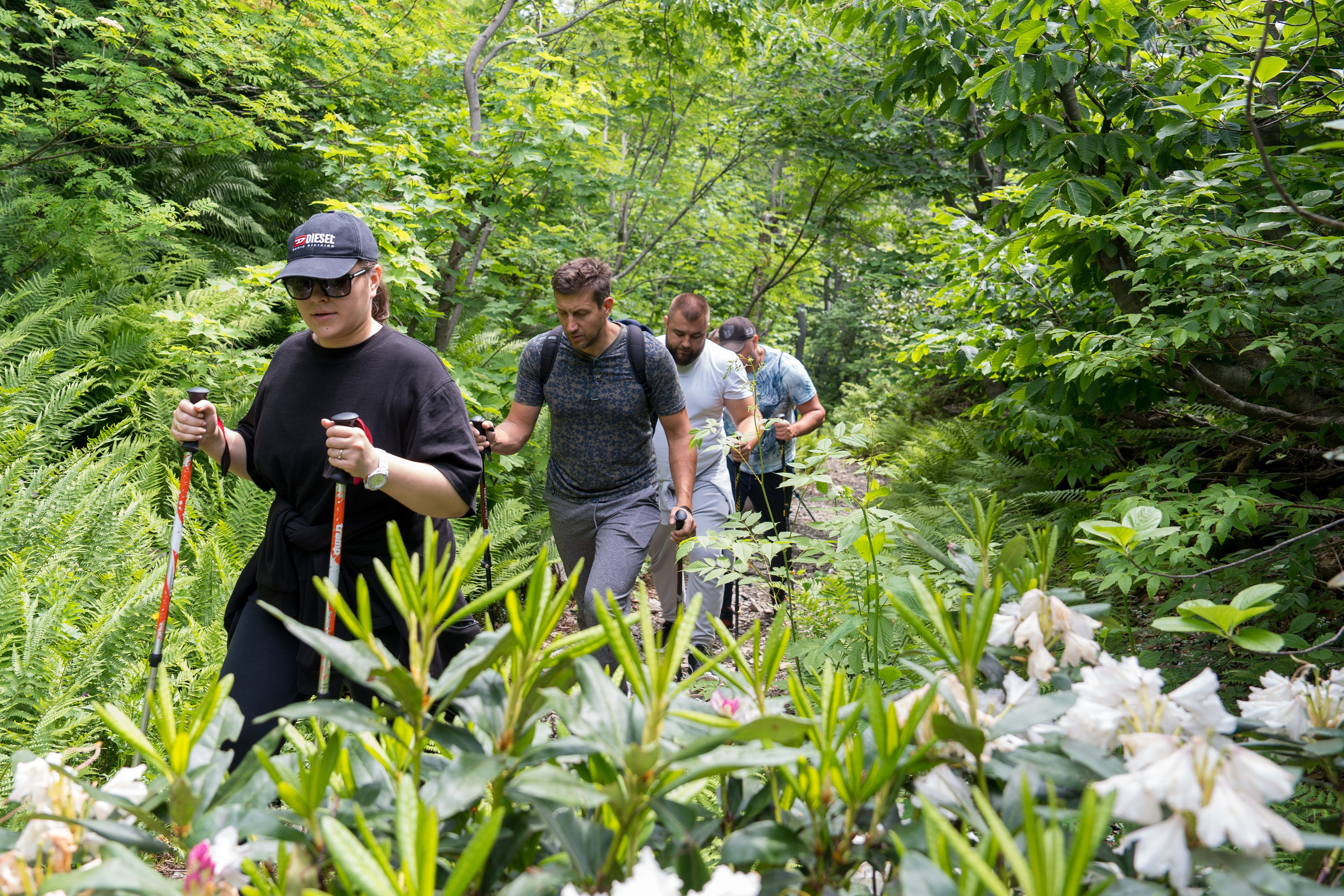 MICE мероприятие для компании «Доставка морем»: хайкинг к Ачипсинским водопадам. Репортажный фотограф в Красной Поляне и Сочи Павлюченко Екатерина