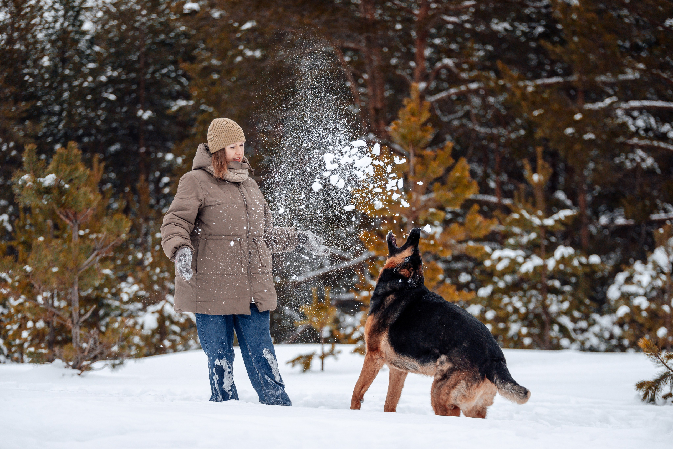 Светлана, Альфа и кошки ✨. Фотограф-анималист Анастасия Парфенова|Екатеринбург