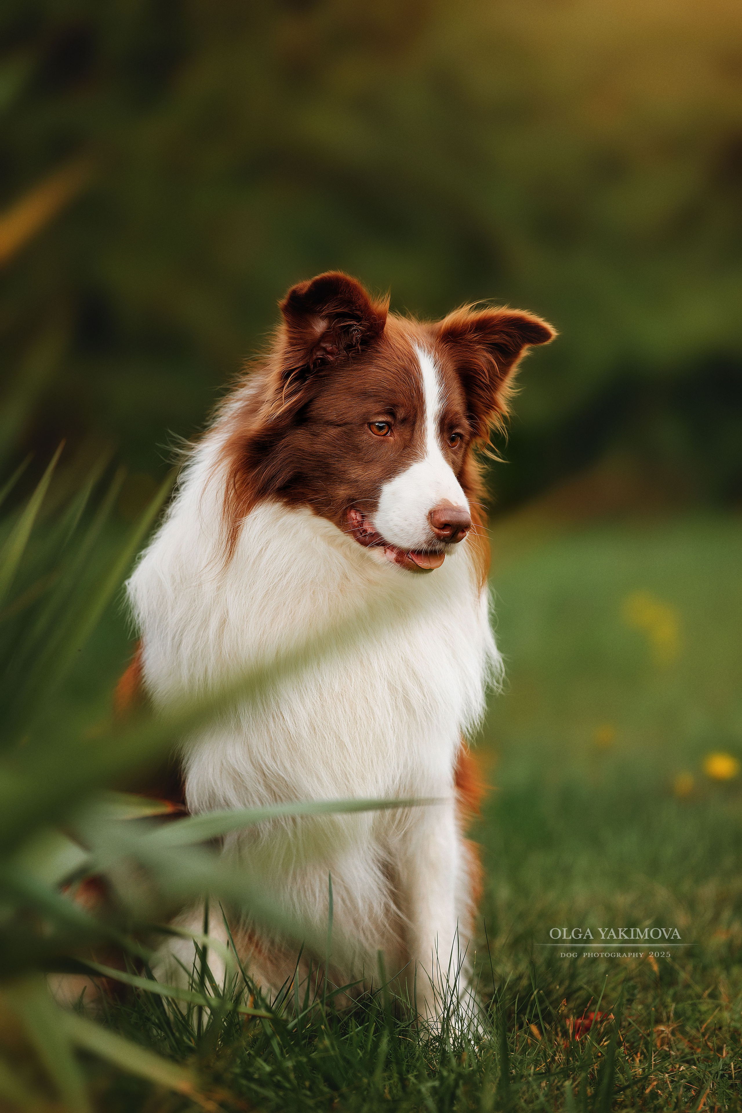 Экстерьер. Фотограф