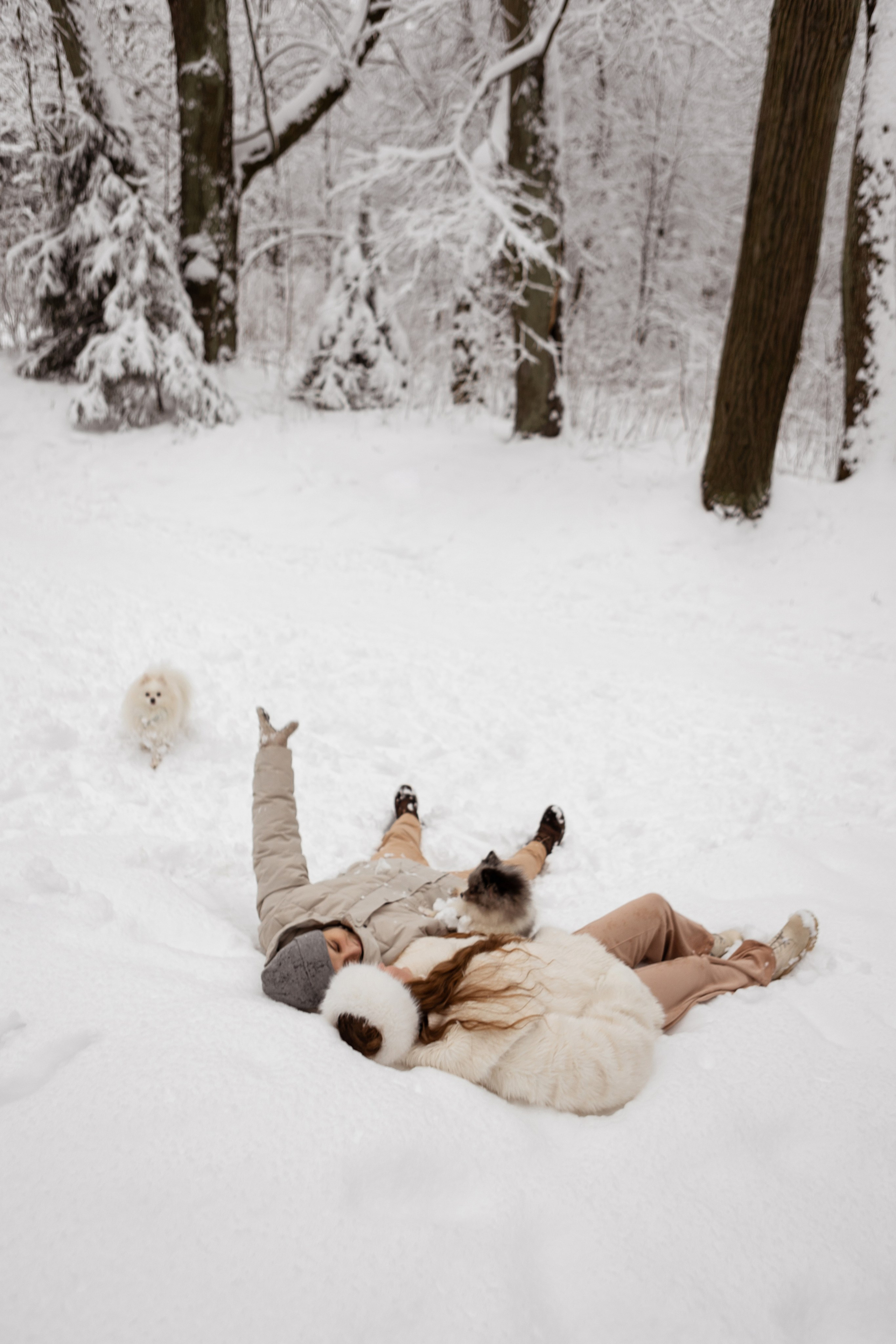 Новогодняя фотосессия с собачками в шуваловском парке. Свадебный фотограф в СПБ | Санкт-Петербурге Анастасия Рахимгулова